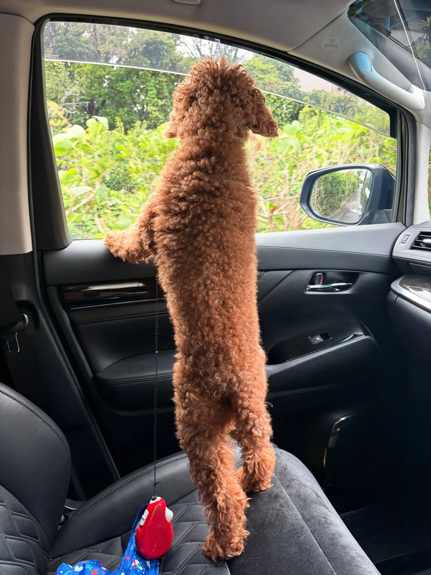 訪問ペット火葬サービス「ペットメモリアル神奈川」の2代目看板...