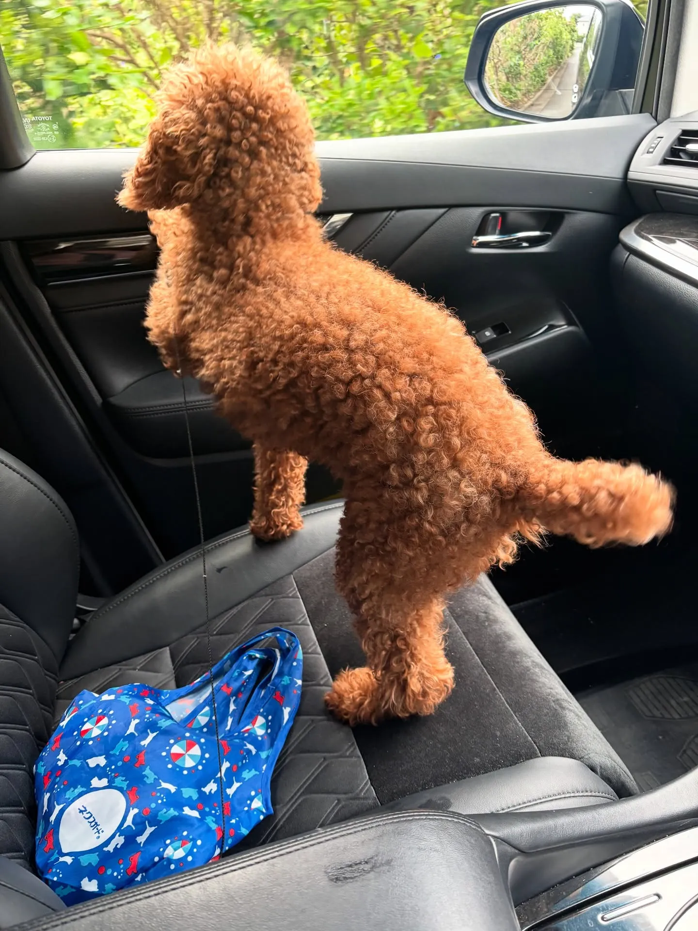 訪問ペット火葬サービス「ペットメモリアル神奈川」の2代目看板...