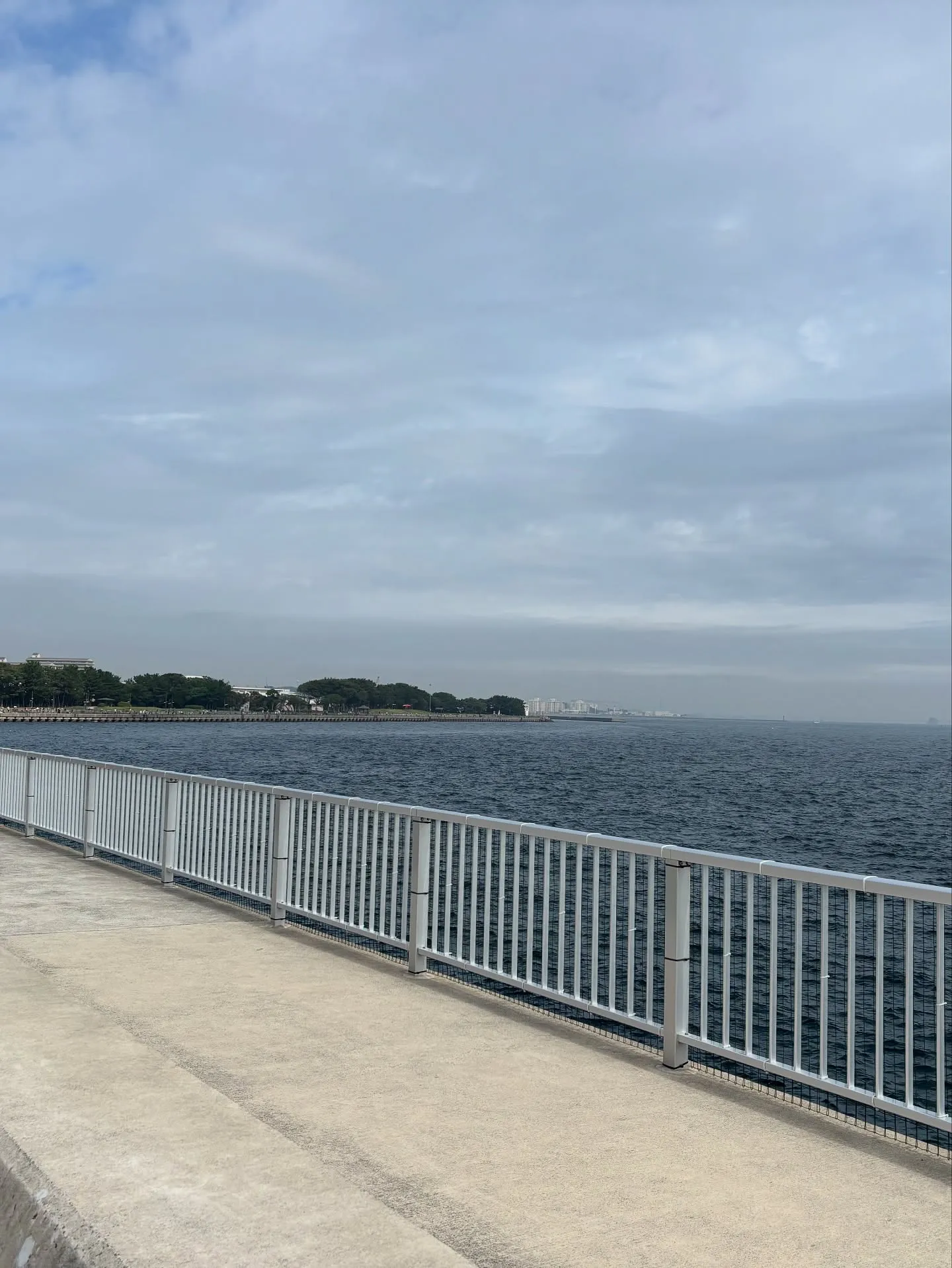 神奈川県横須賀市で、大切なうさぎさんの訪問ペット火葬をお手伝...