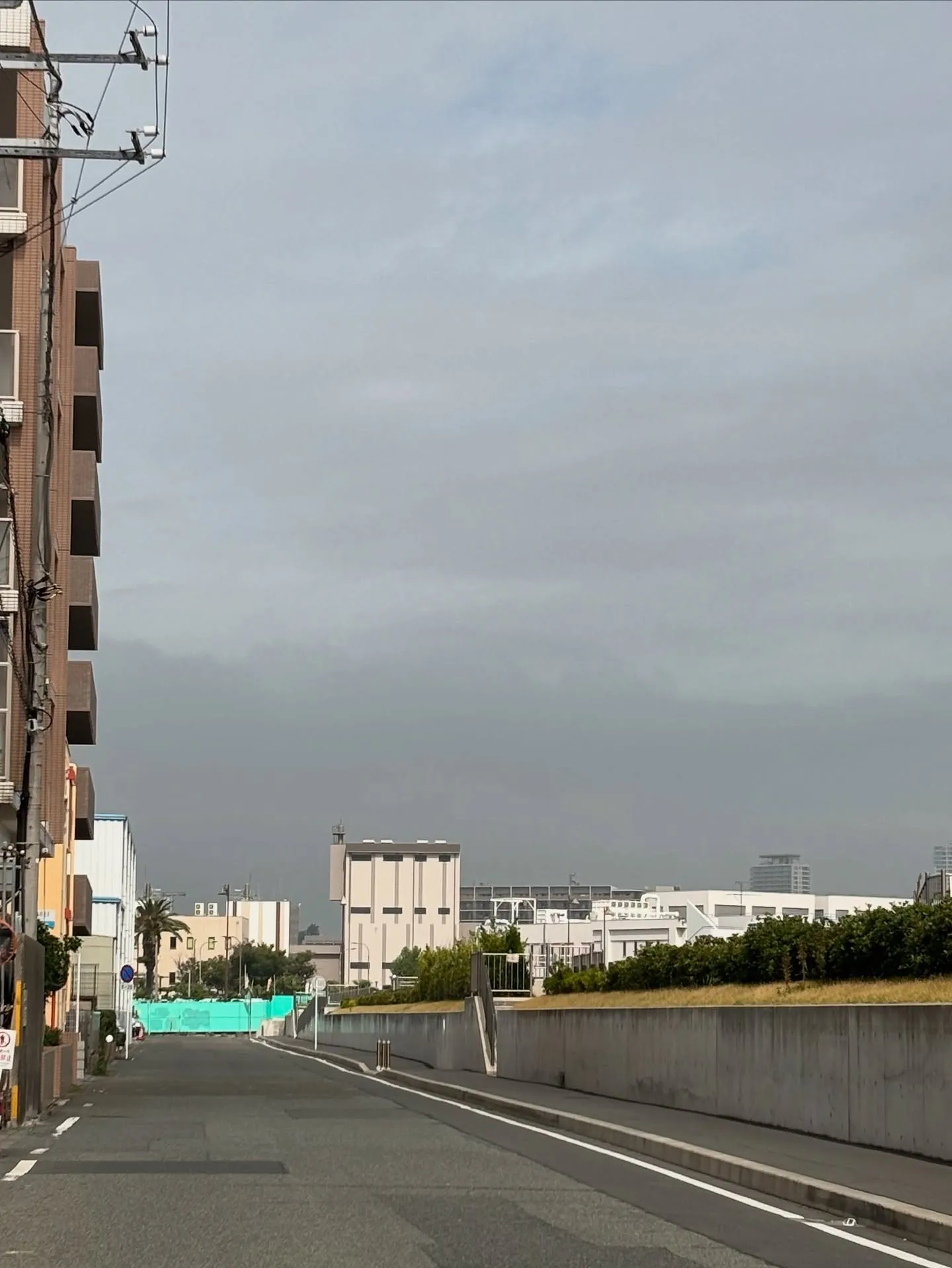 神奈川県横須賀市で、大切なうさぎさんの訪問ペット火葬をお手伝...