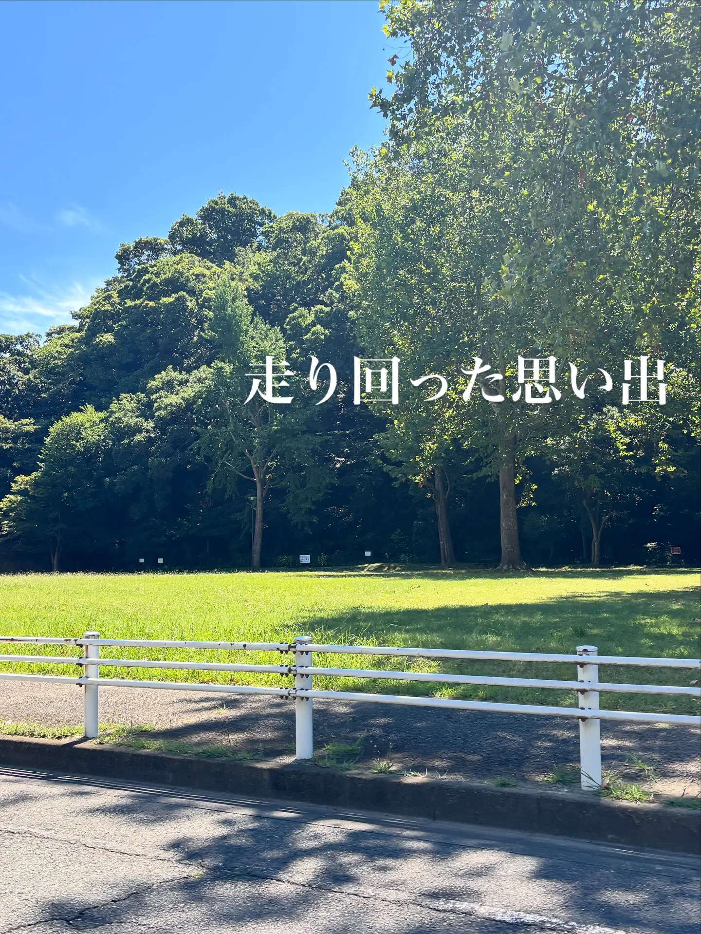 神奈川県横浜市で、大切なわんちゃんのペット火葬のお手伝いをさ...