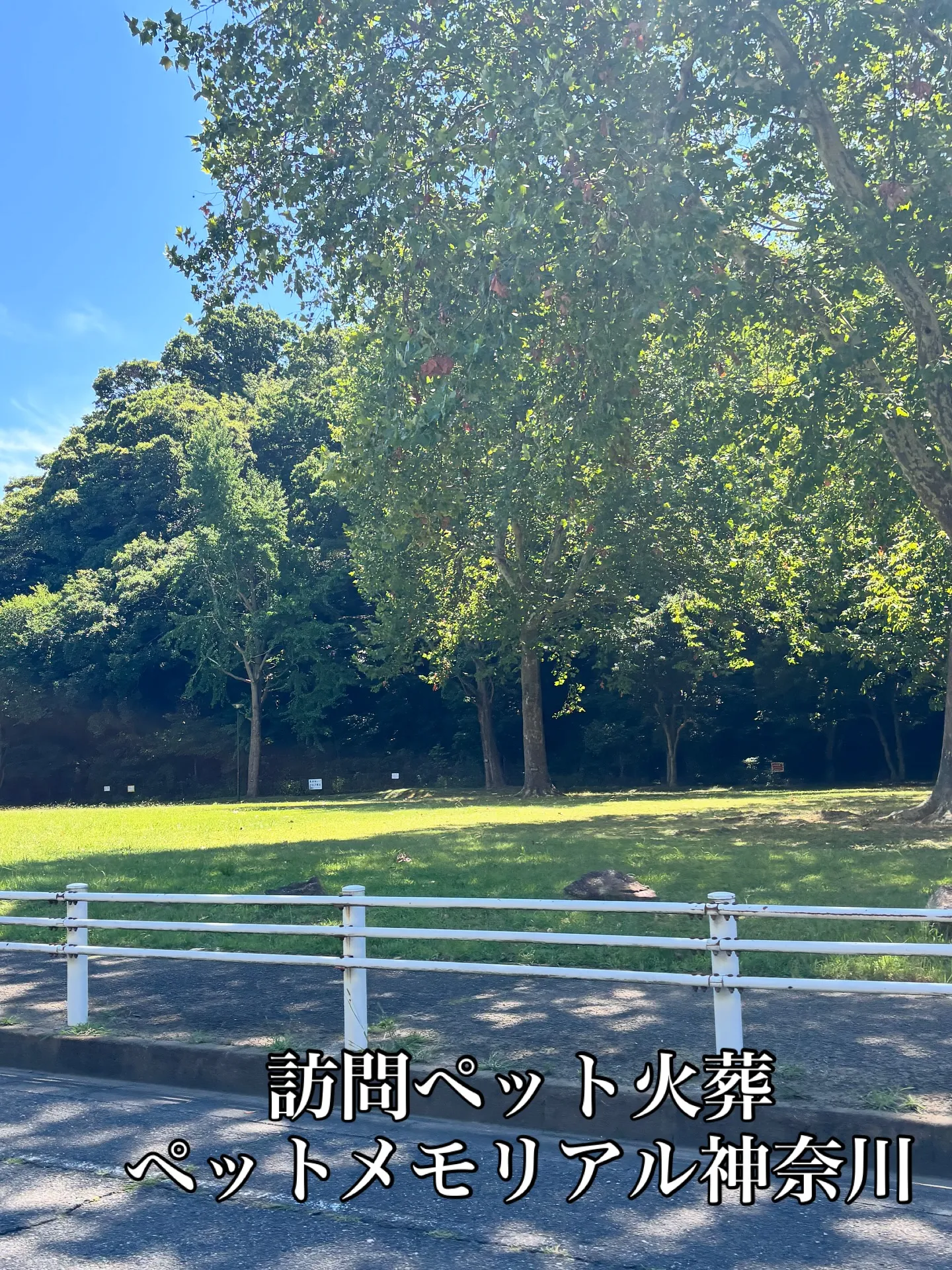 神奈川県横浜市で、大切なわんちゃんのペット火葬のお手伝いをさ...