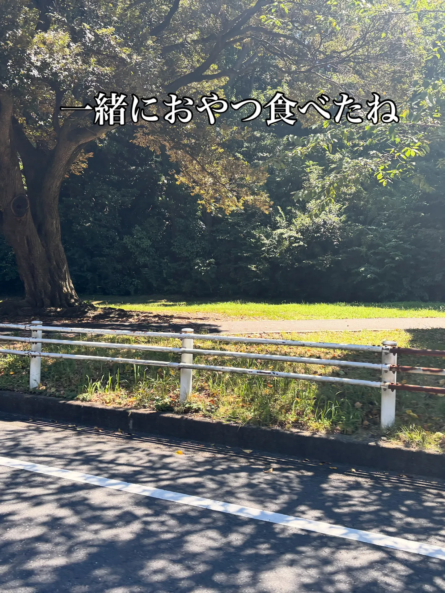 神奈川県横浜市で、大切なわんちゃんのペット火葬のお手伝いをさ...