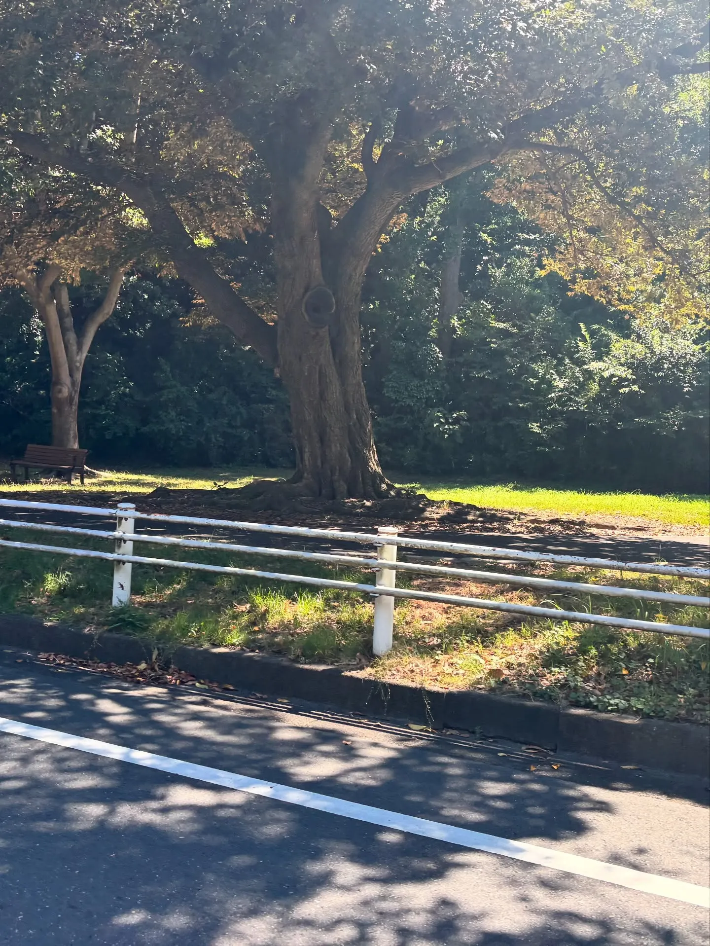 神奈川県横浜市で、大切なわんちゃんのペット火葬のお手伝いをさ...