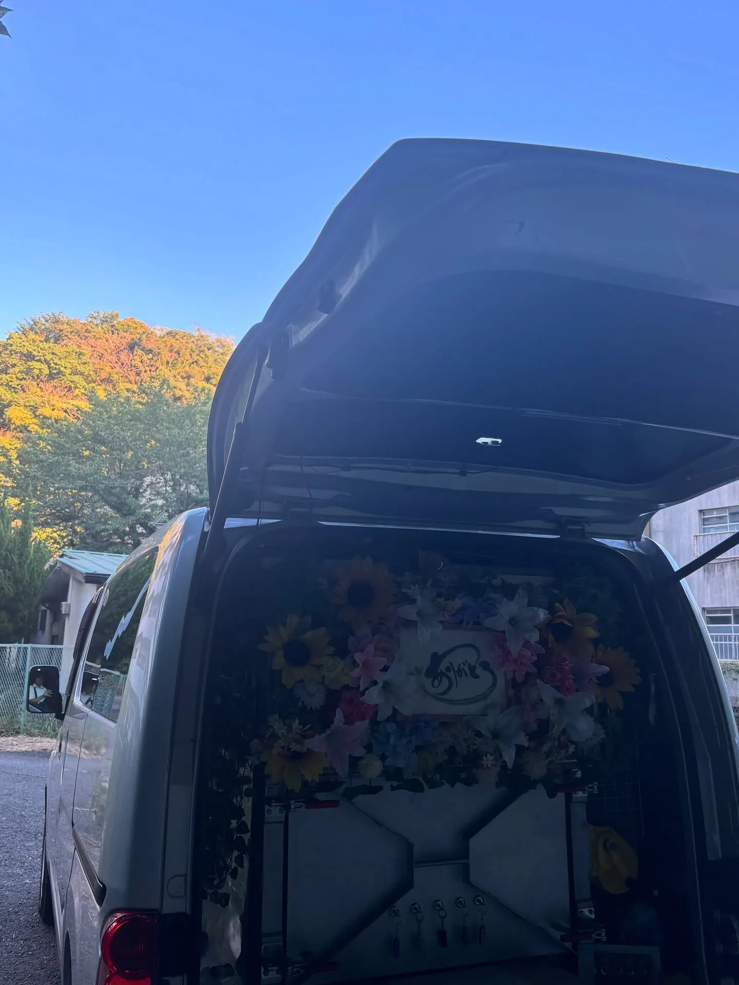 神奈川県横須賀市にて、16年間一緒に過ごしてきた愛しい猫ちゃ...