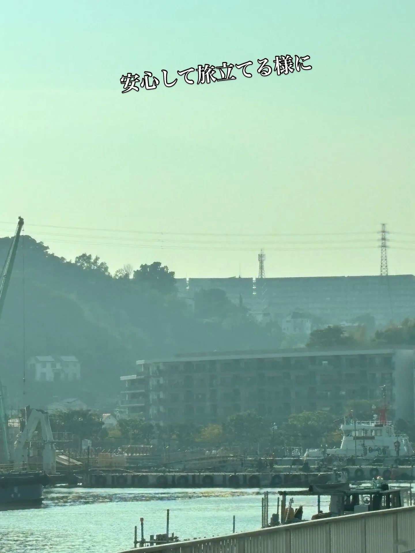 神奈川県横須賀市で、愛らしいチワワちゃんのペット火葬をお手伝...