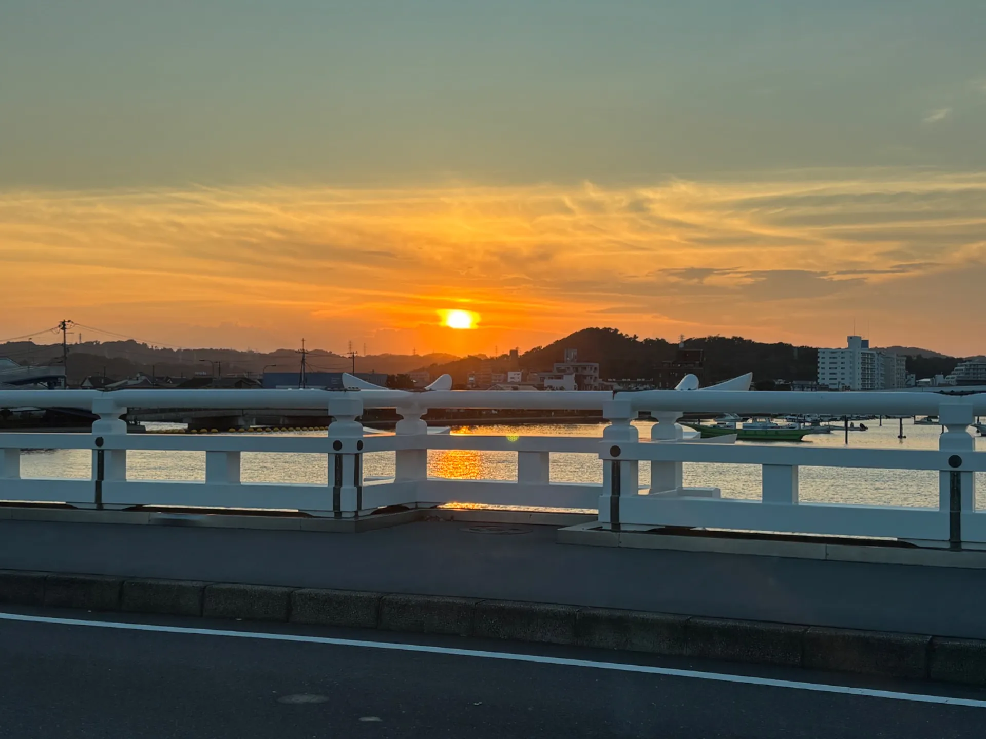 心温まる供養を横須賀市から神奈川県全域へ思い出を大切にする安心の選び方