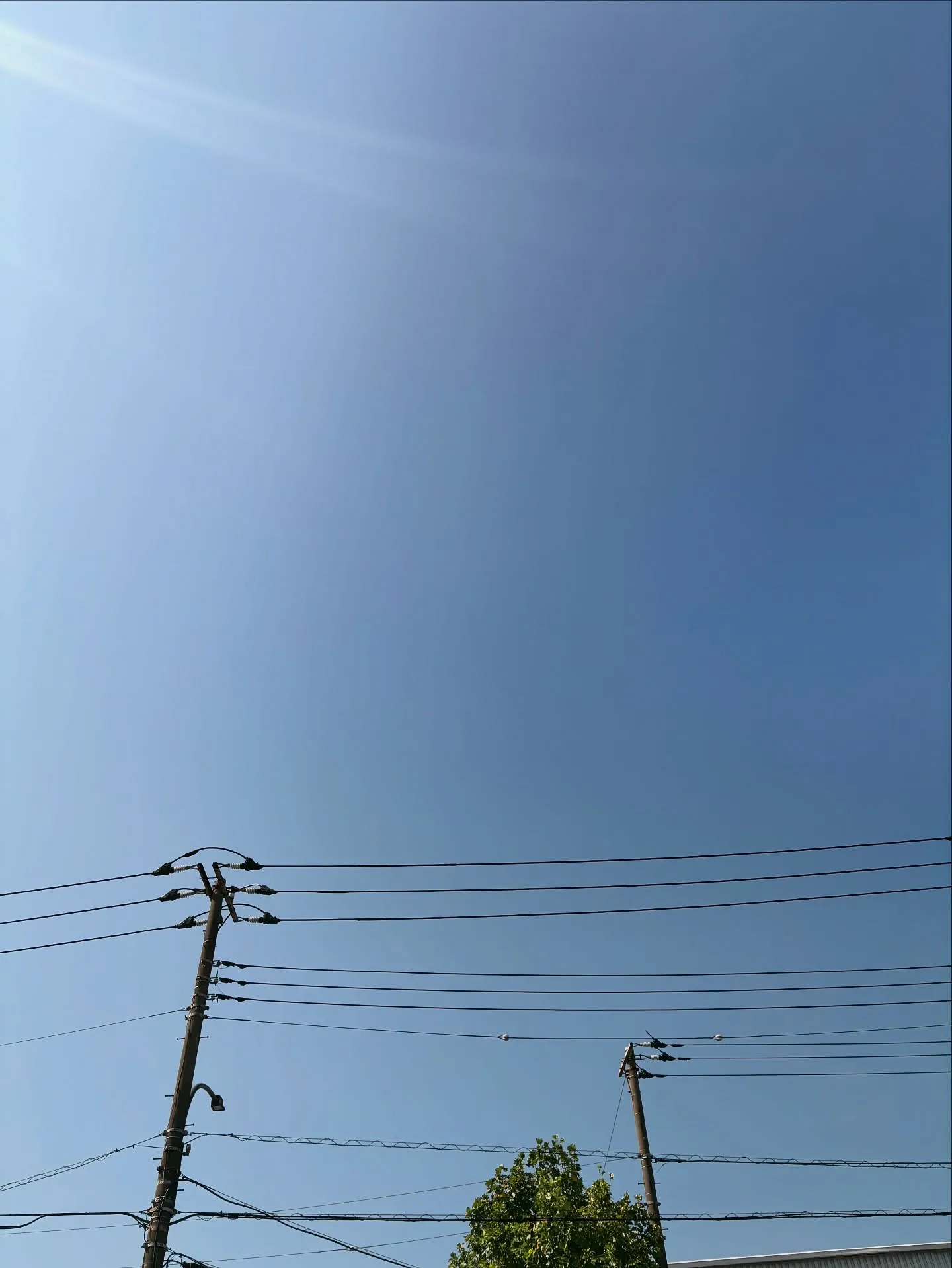 神奈川県横須賀市にて、ご家族様の愛猫ちゃんの訪問ペット火葬を...