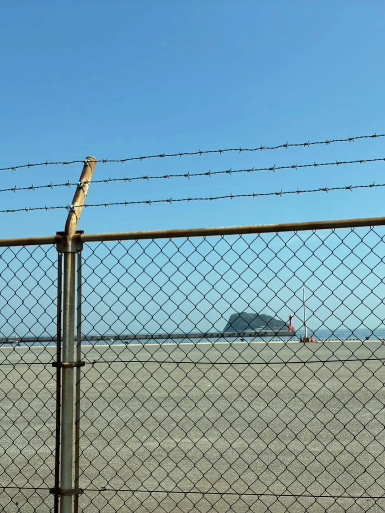 神奈川県横須賀市にて、ご家族様の愛猫ちゃんの訪問ペット火葬を...