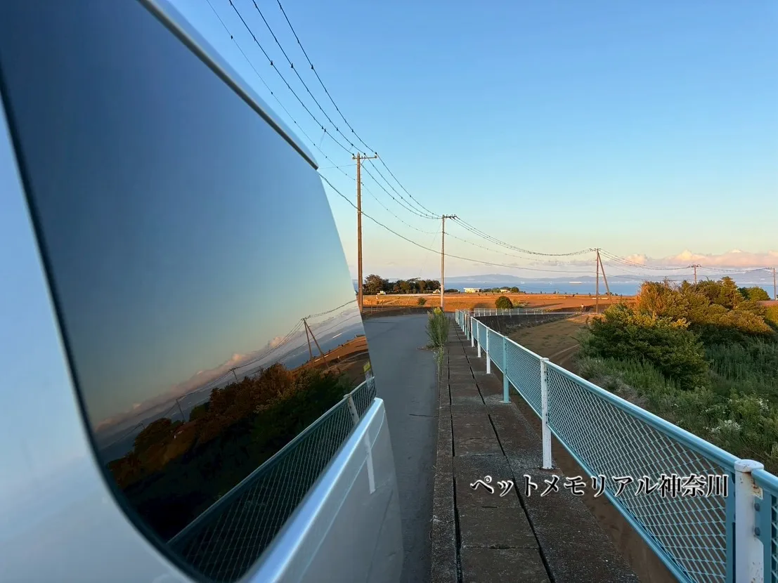 神奈川県三浦市にて、愛されていたわんちゃんの訪問ペット火葬を...