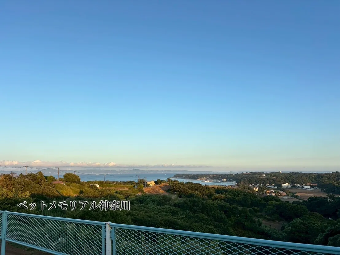 神奈川県三浦市にて、愛されていたわんちゃんの訪問ペット火葬を...