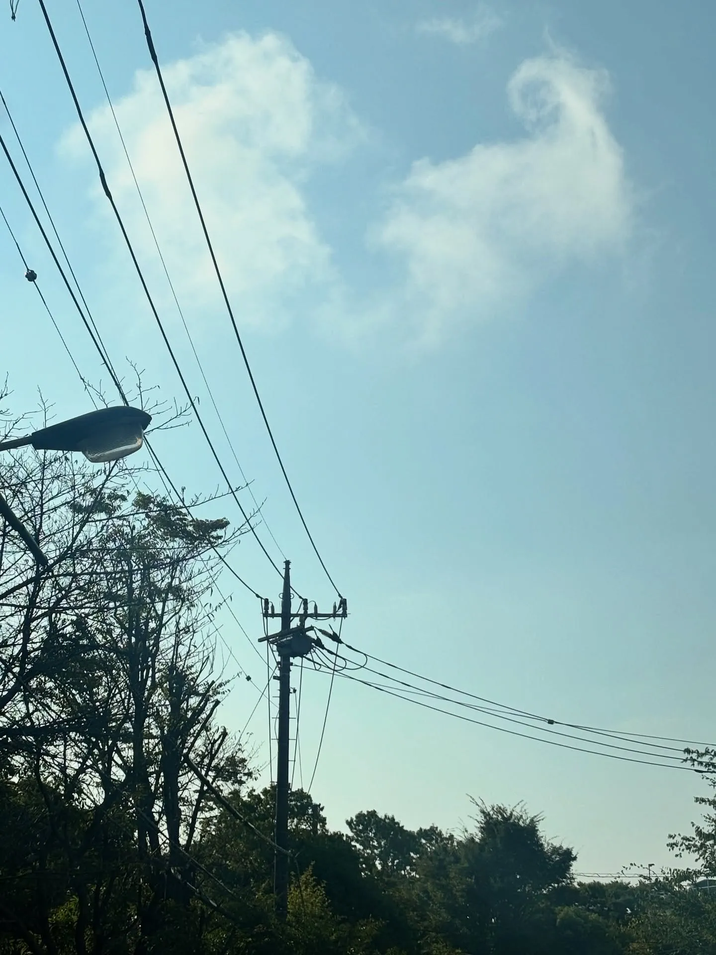 神奈川県逗子市にて愛しいチワワちゃんのペット葬儀、そして火葬...