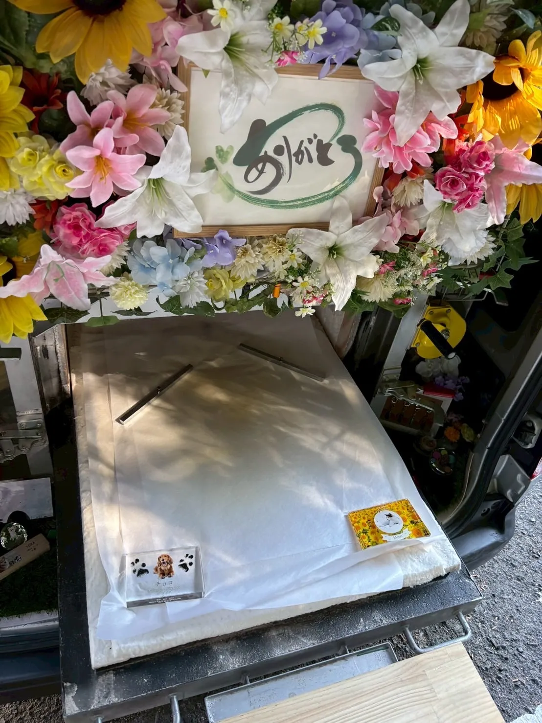 神奈川県横浜市金沢区において、猫ちゃんの訪問ペット火葬をお手...