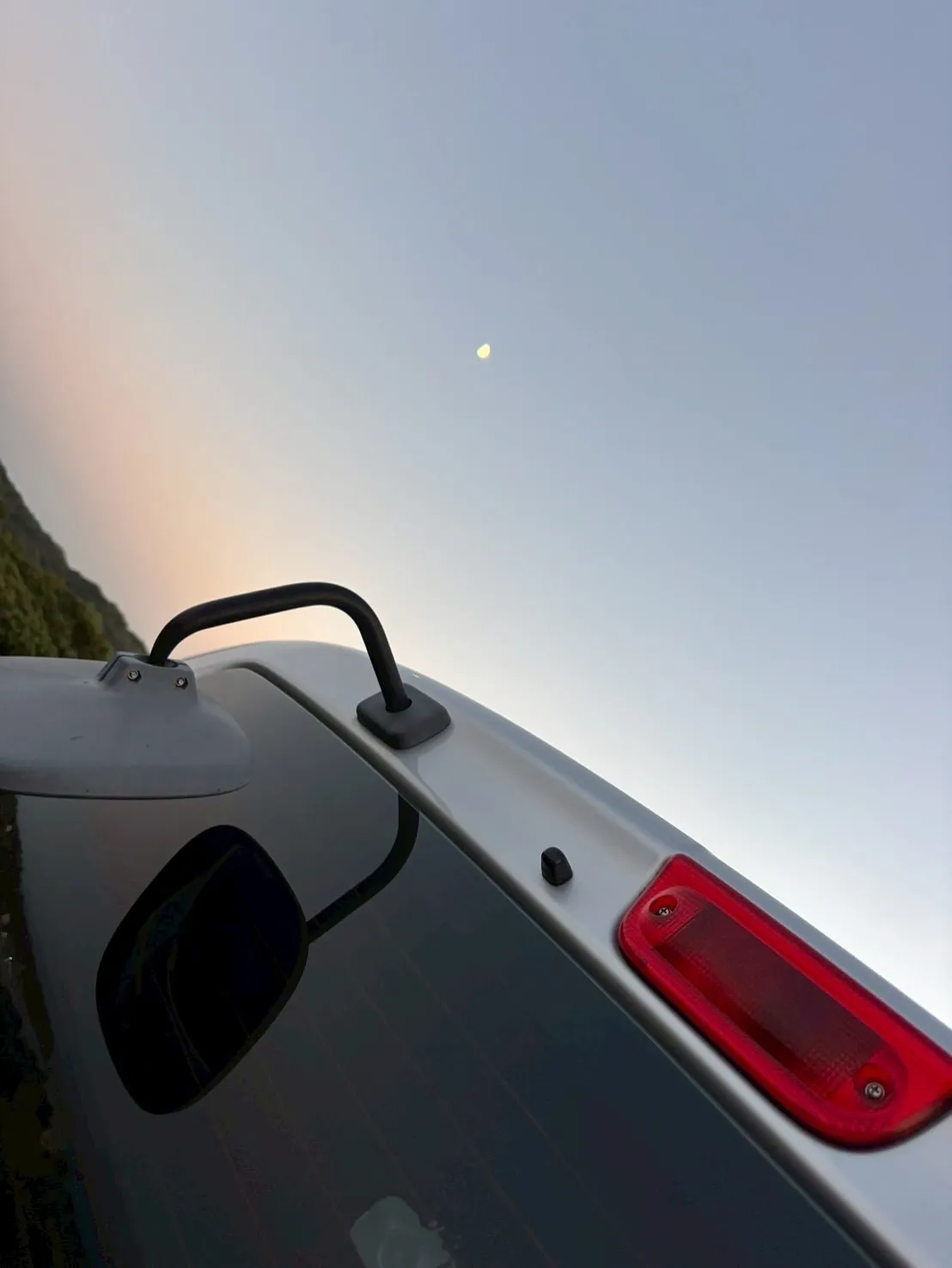 神奈川県横浜市金沢区において、猫ちゃんの訪問ペット火葬をお手...