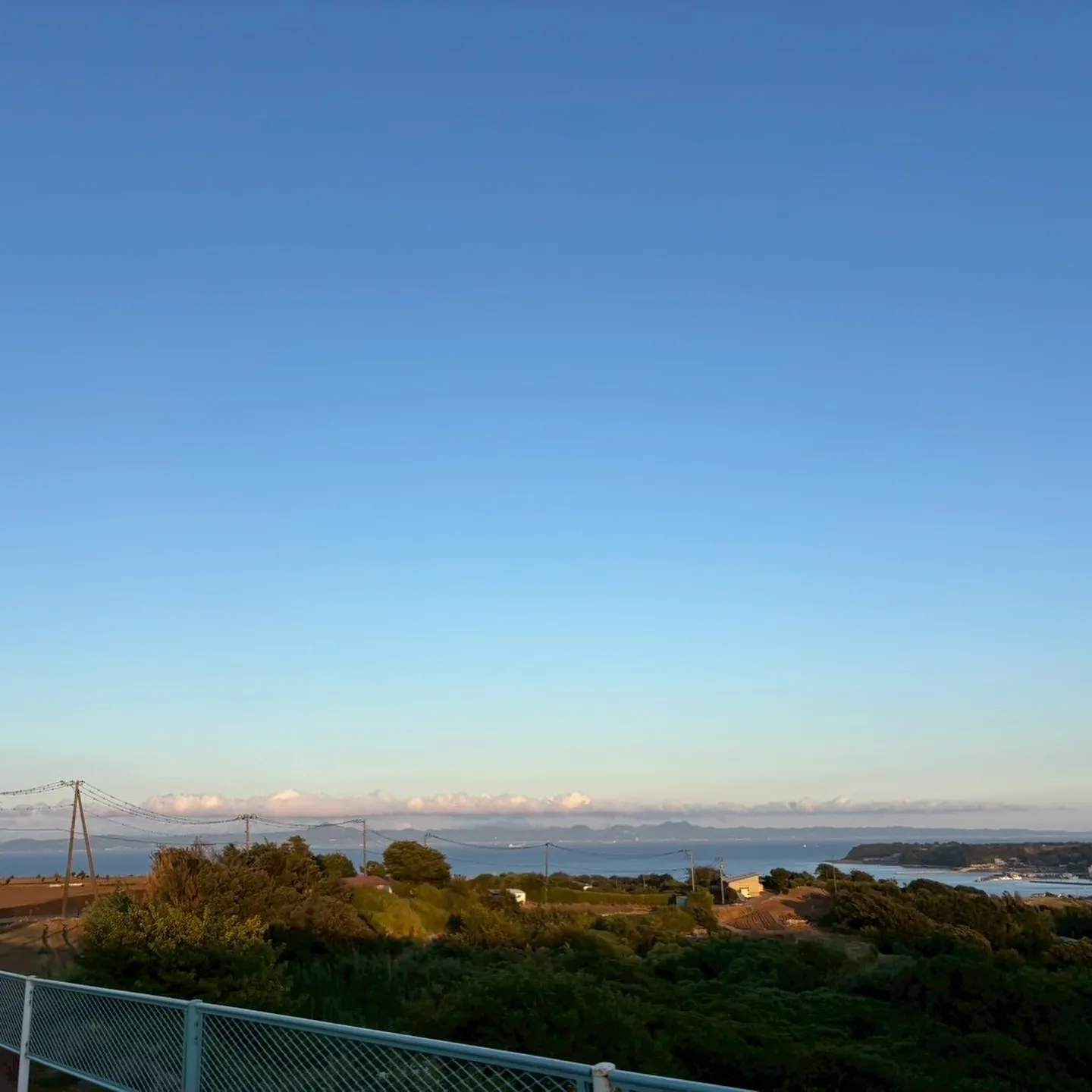 ペットメモリアル神奈川では、大切なペットが旅立つ最後の時を、...