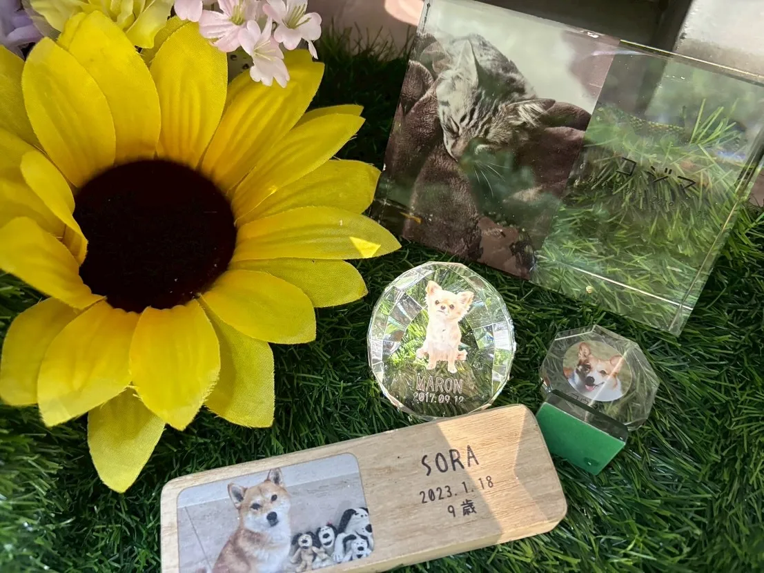 神奈川県横須賀市にて、感謝とともに猫ちゃんのペット火葬をお手...