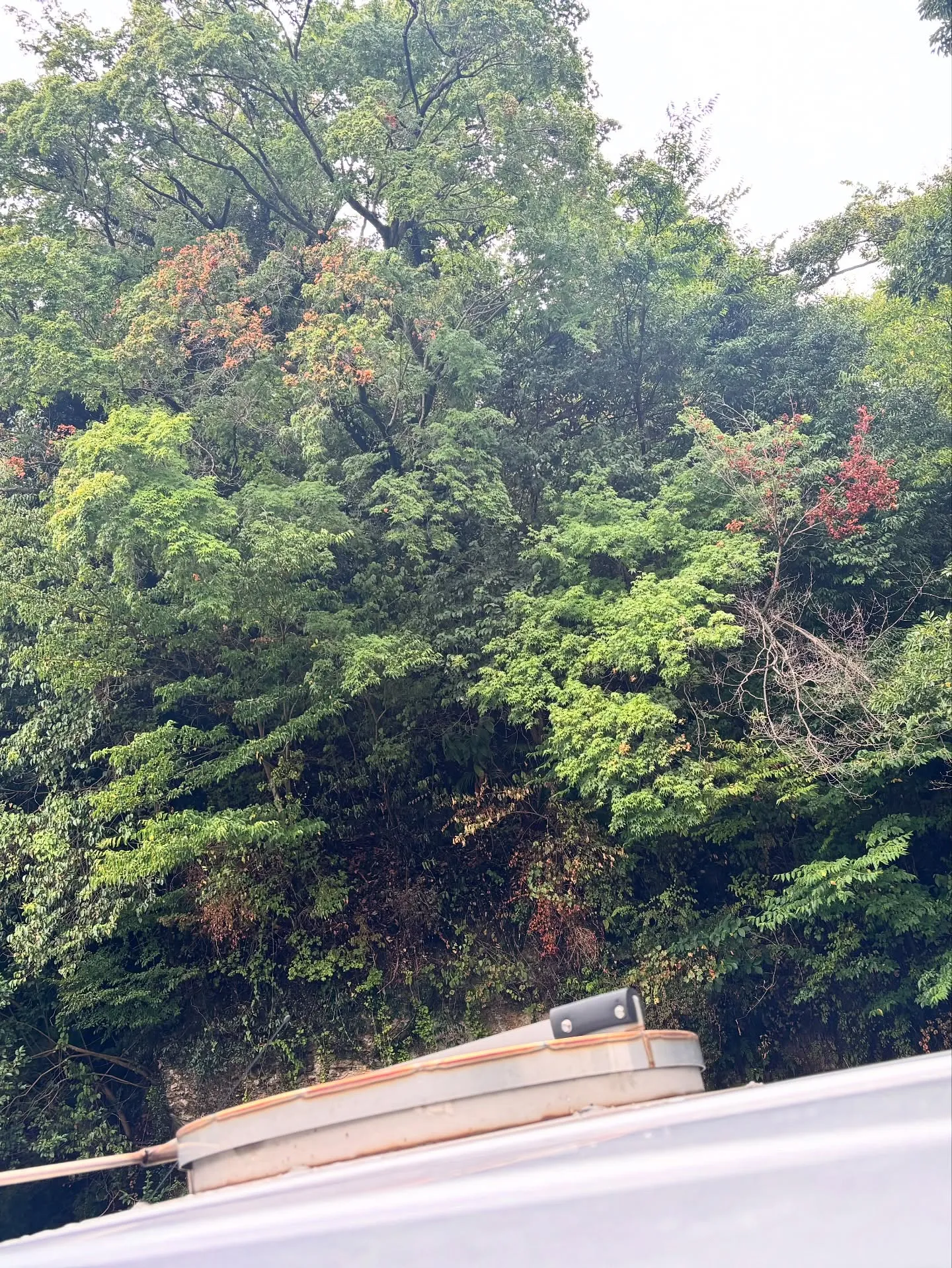 神奈川県横須賀市にお住まいの方から生前よりご相談いただき、不...