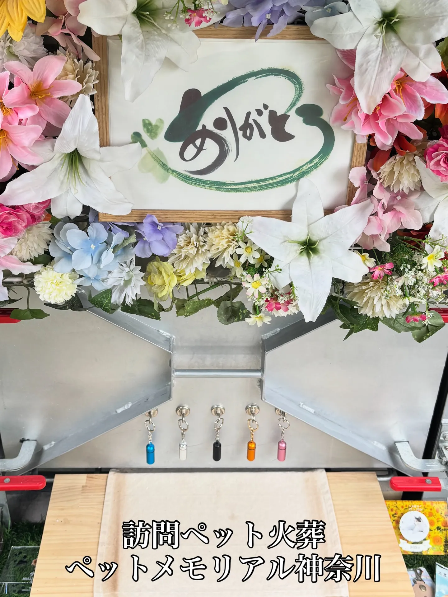 神奈川県横浜市で、トイプードルのペット火葬のお手伝いさせてい...