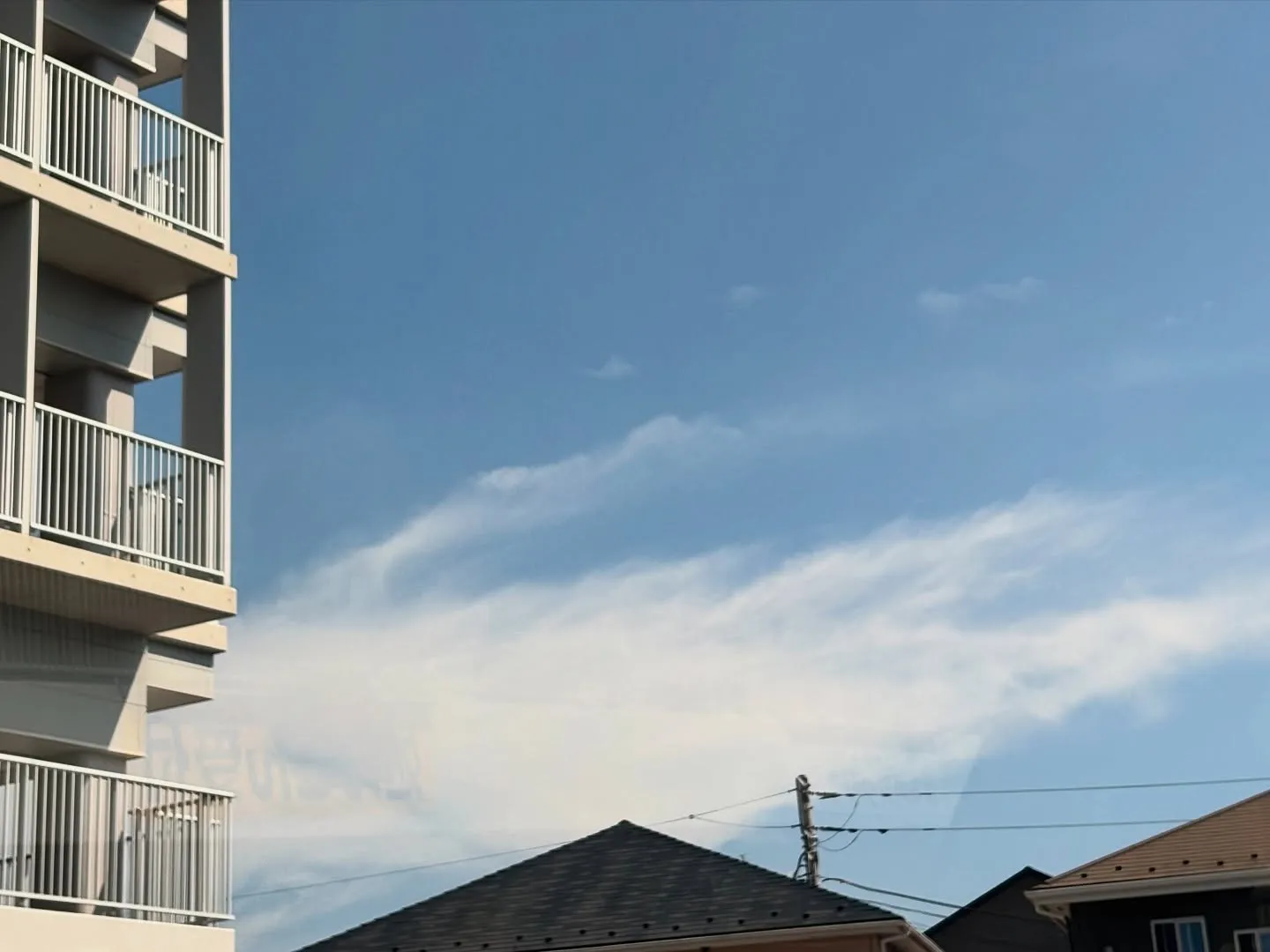 横浜市金沢区にて、大切な家族の一員であるハムスターちゃんのペ...