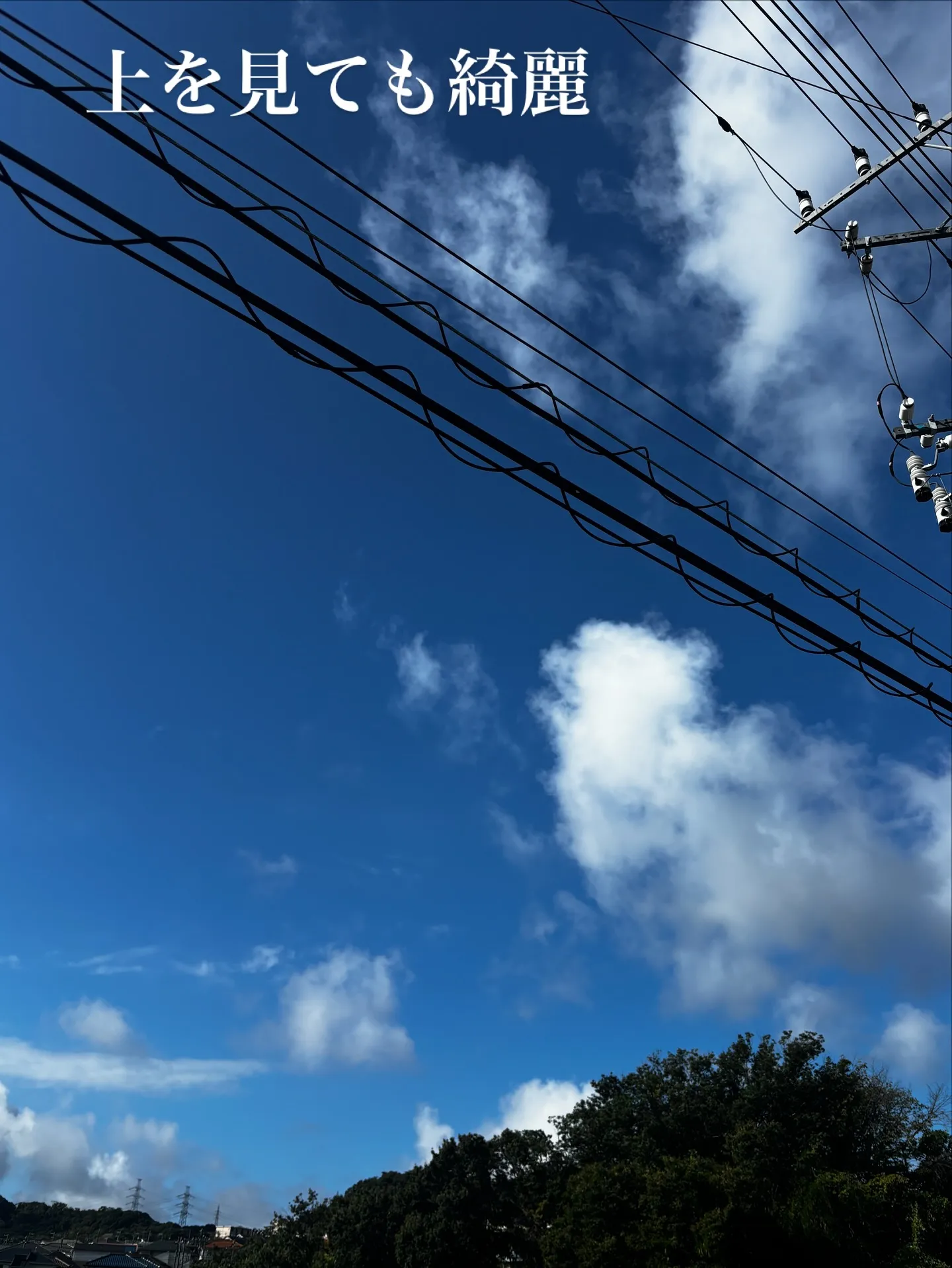 ペットロスの悲しみは、私たちの心に深く刻まれるものです。