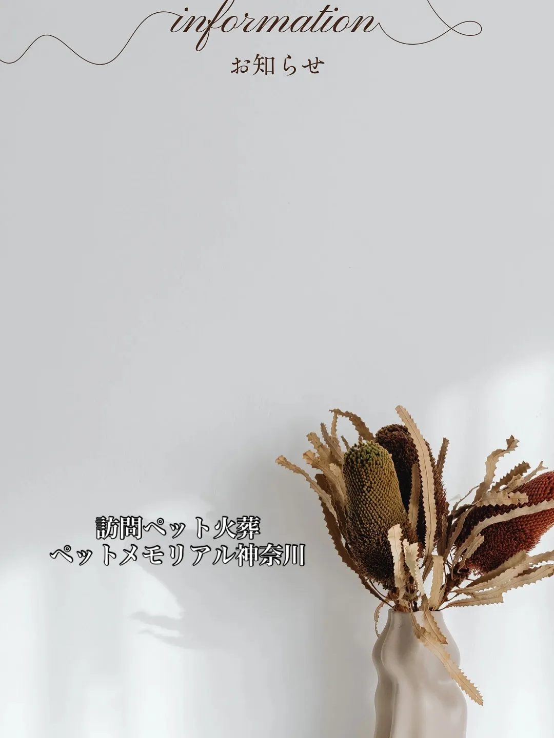 先日、ペットメモリアル神奈川のスタッフが、亡くなったペットち...