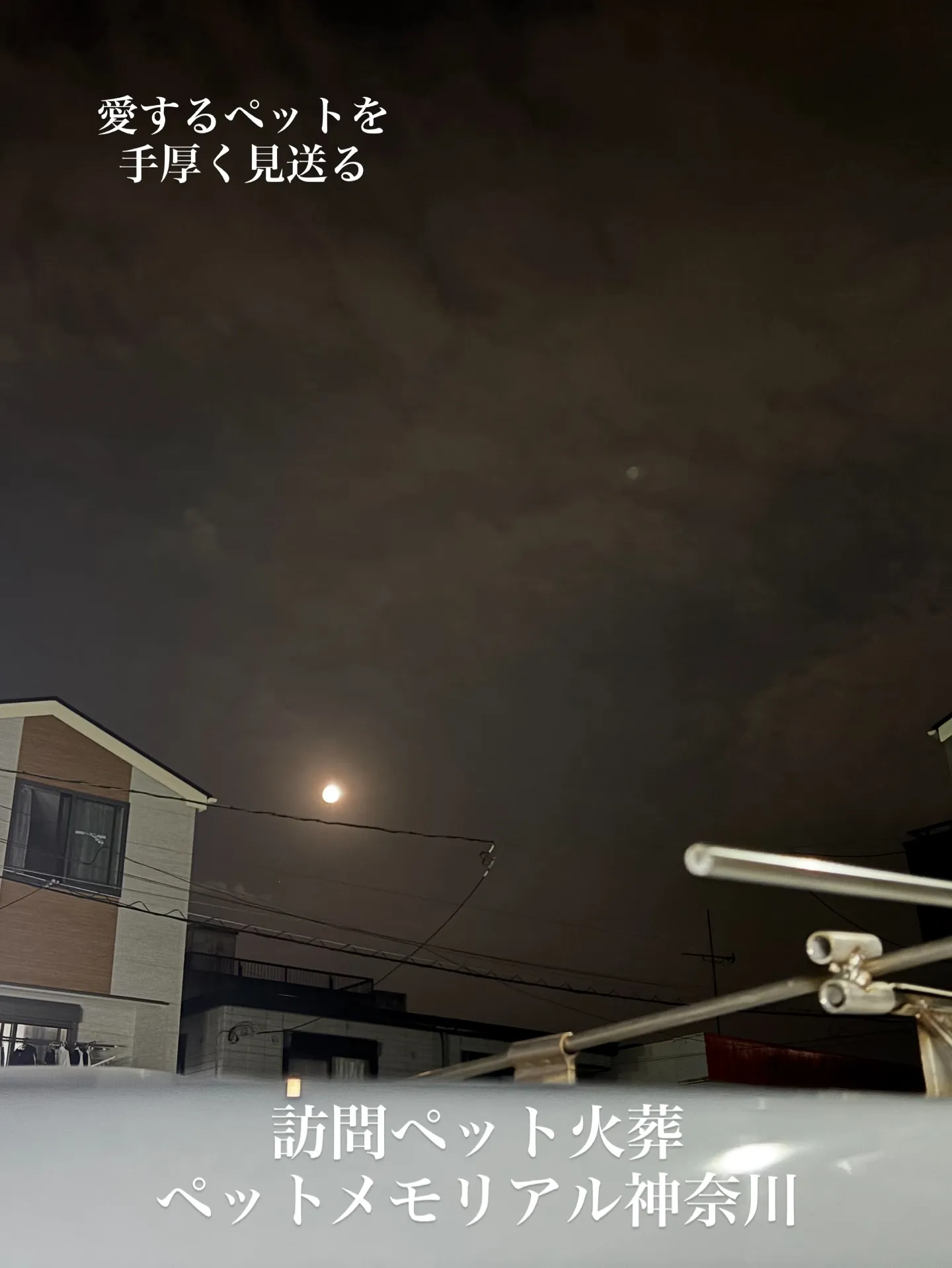 神奈川県横浜市にて、愛するハムスターちゃんのペット火葬の儀に...