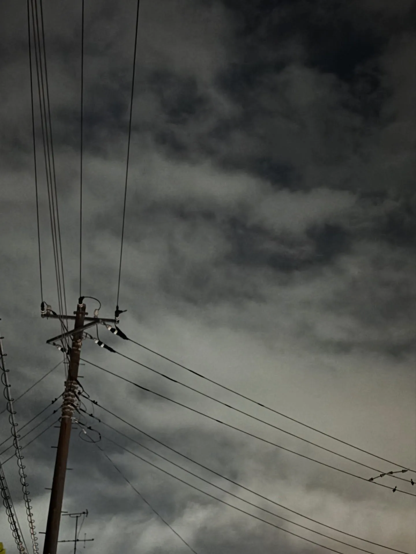 神奈川県横須賀市にて、大切な家族の一員であるわんちゃんのペッ...