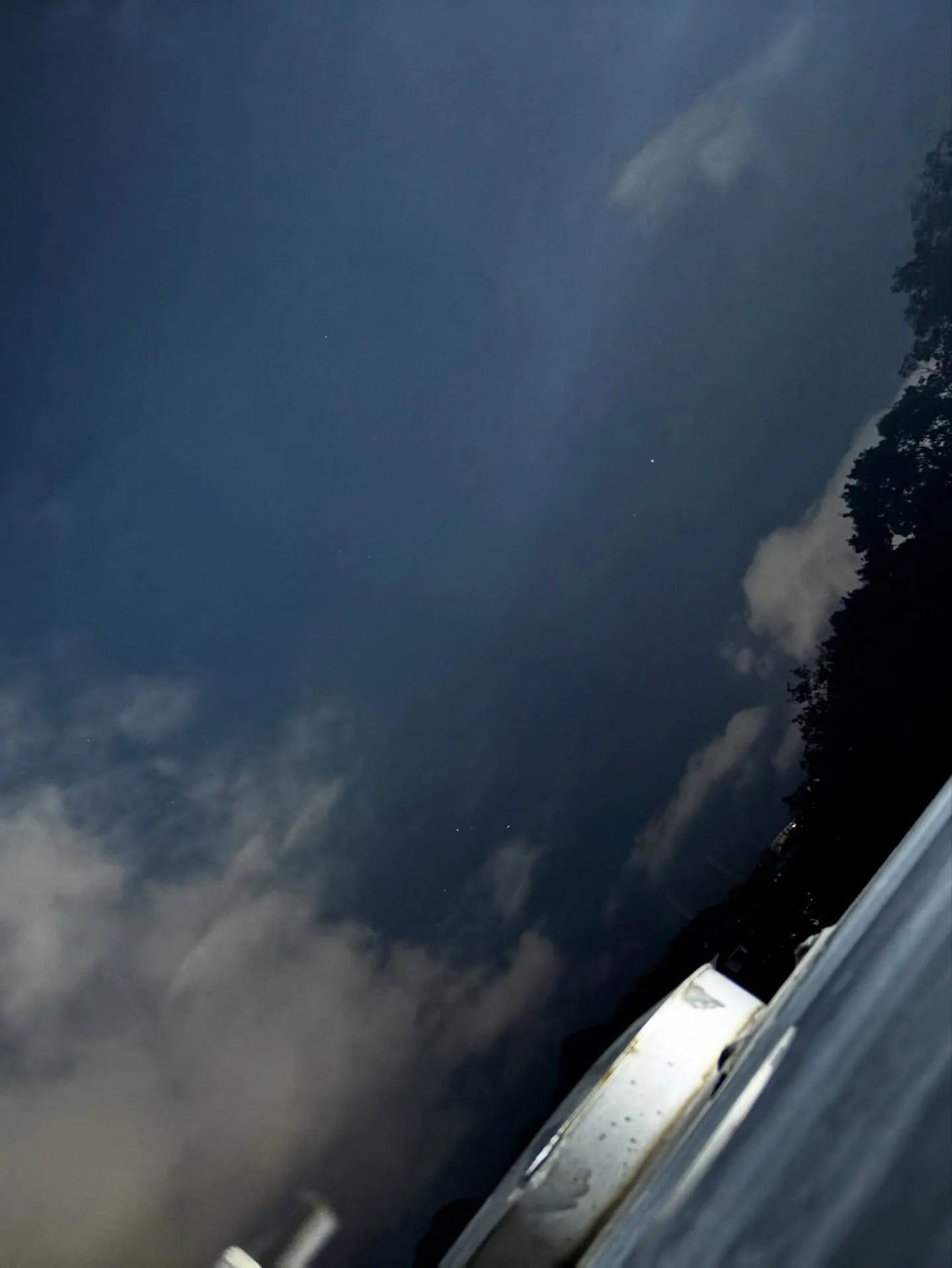 神奈川県横須賀市にて、大切な家族の一員であるわんちゃんのペッ...