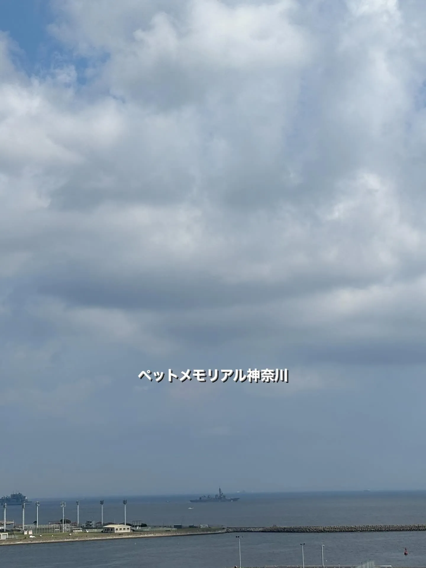 横須賀市から、幸せな時間を過ごしてきたわんちゃんのお見送りの...