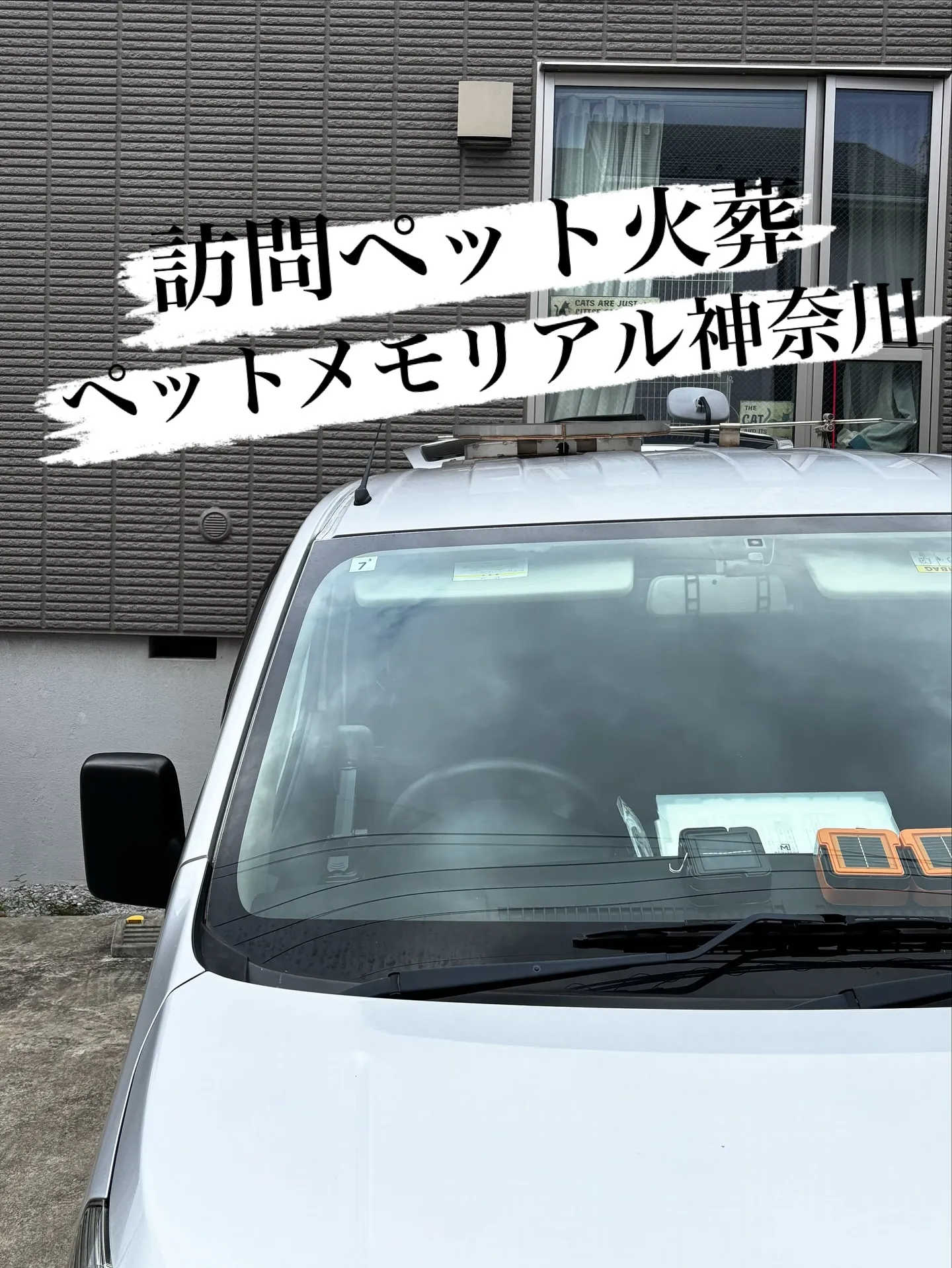 神奈川県藤沢市にて、リピーターのご家族様の猫ちゃんのお見送り...