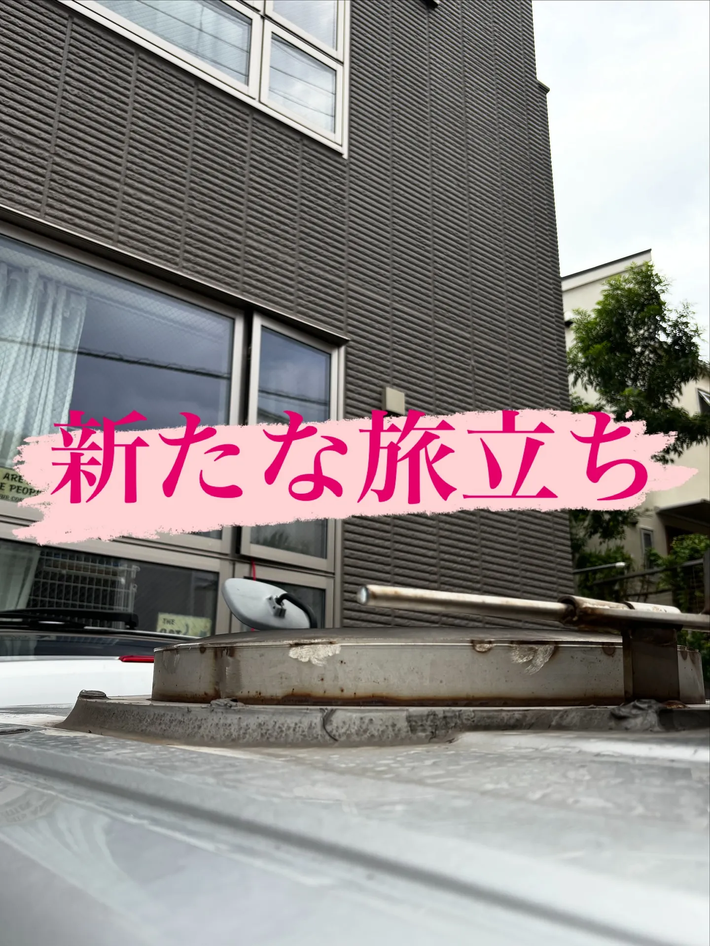 神奈川県藤沢市にて、リピーターのご家族様の猫ちゃんのお見送り...