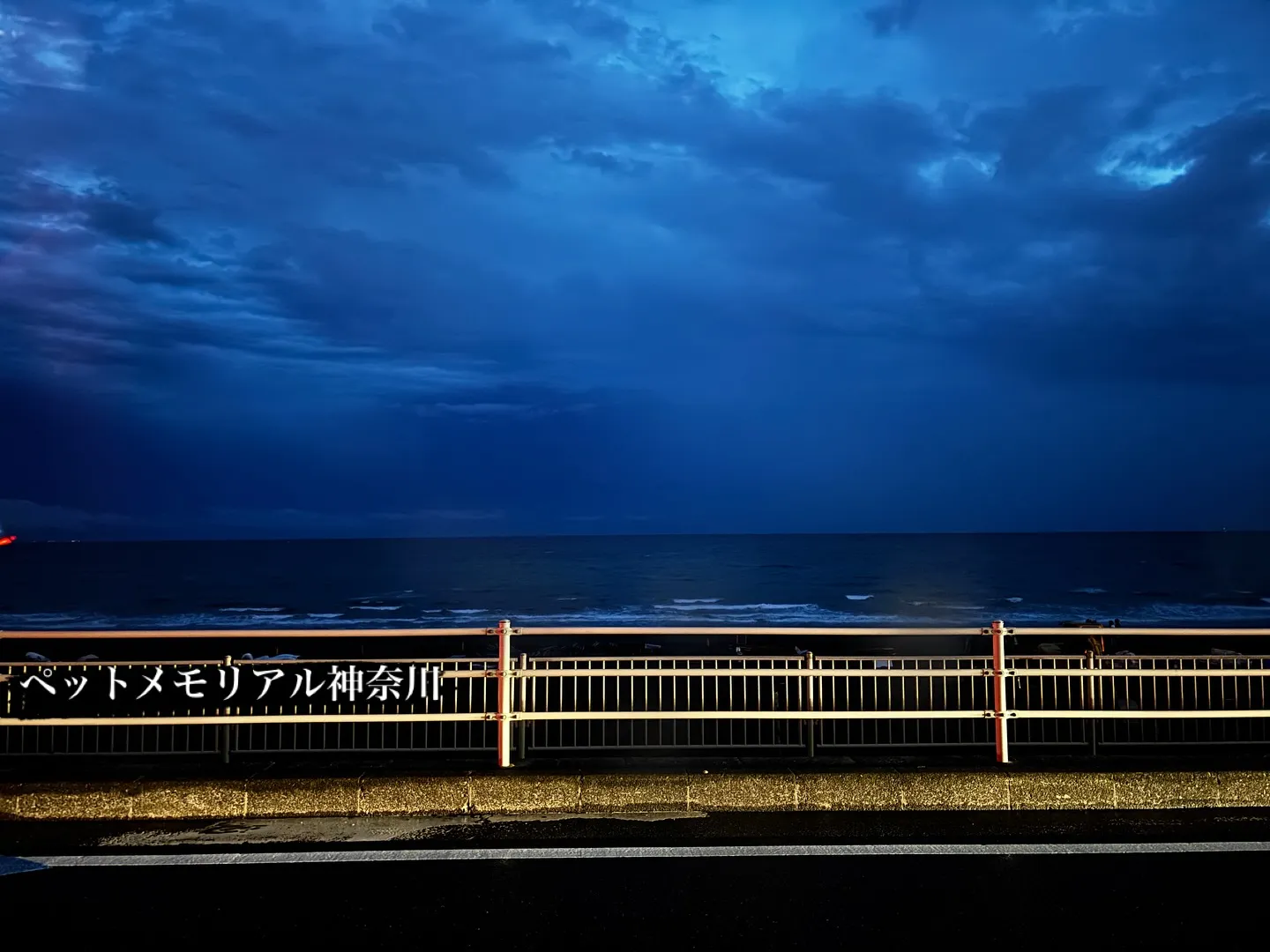 ペットメモリアル神奈川は、大切なペットとのお別れの時間を心穏...