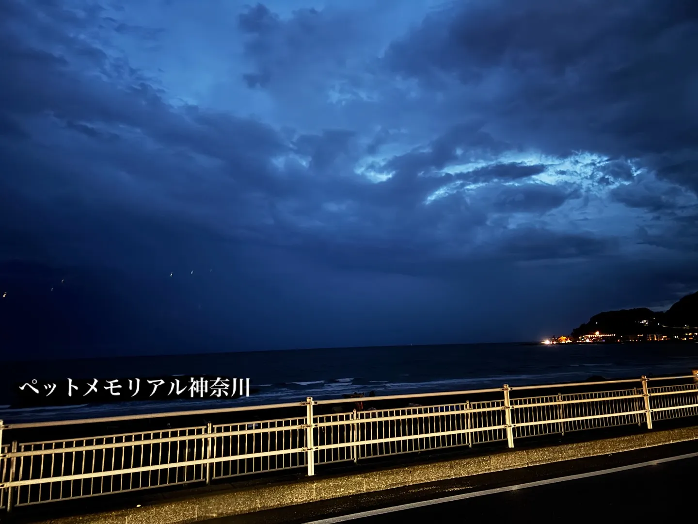 ペットメモリアル神奈川は、大切なペットとのお別れの時間を心穏...