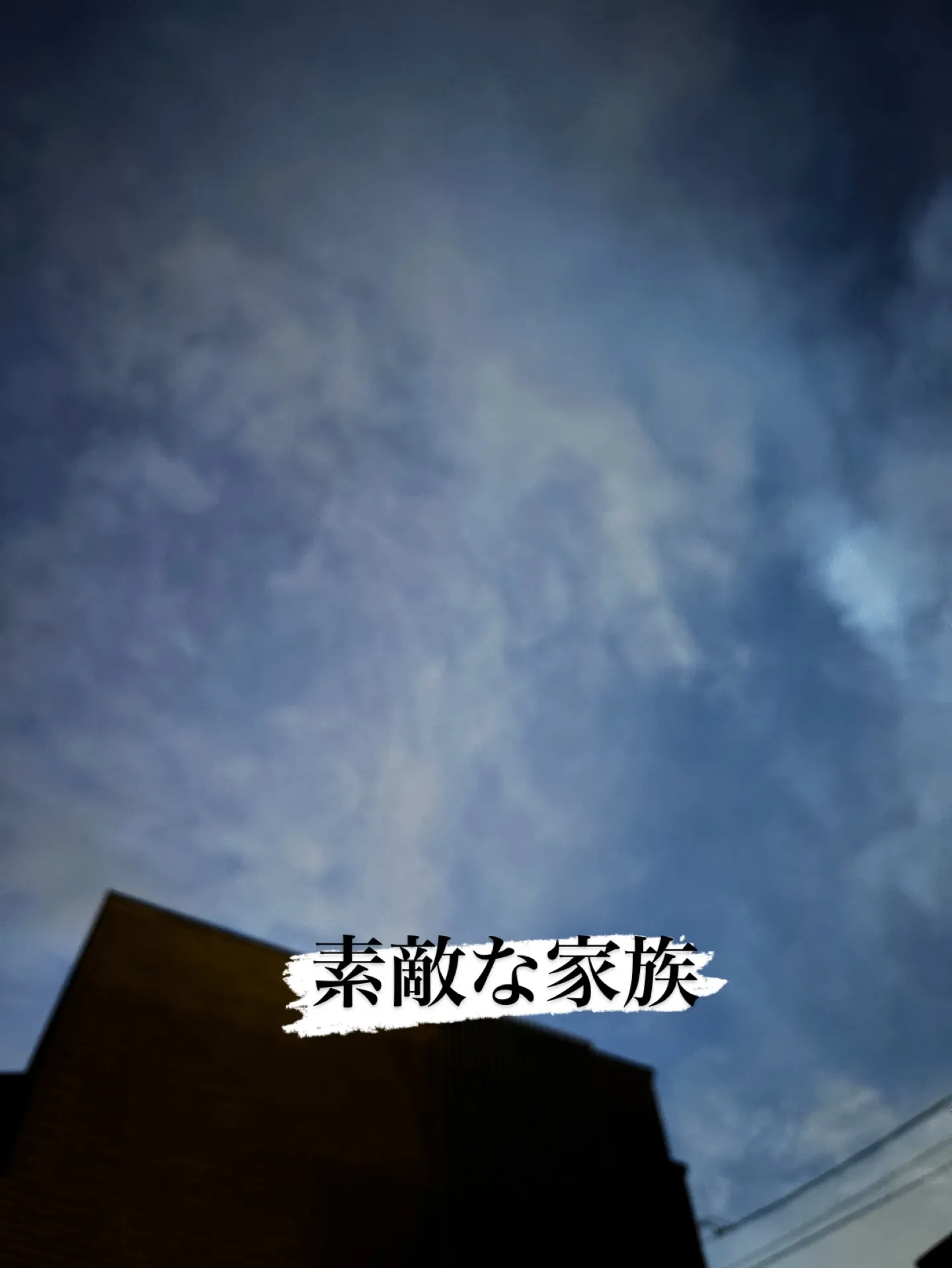 神奈川県横須賀市の動物愛好家のご家族様の元で、大切な家族の一...