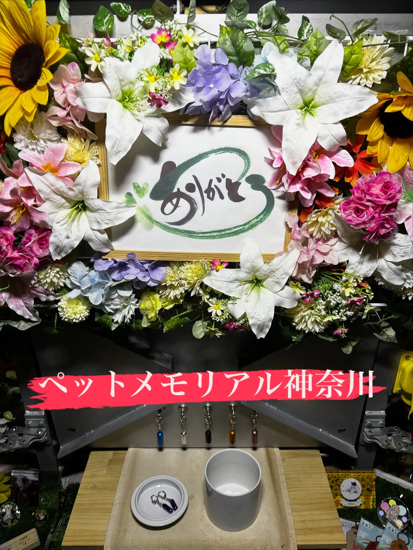 神奈川県横須賀市の動物愛好家のご家族様の元で、大切な家族の一...