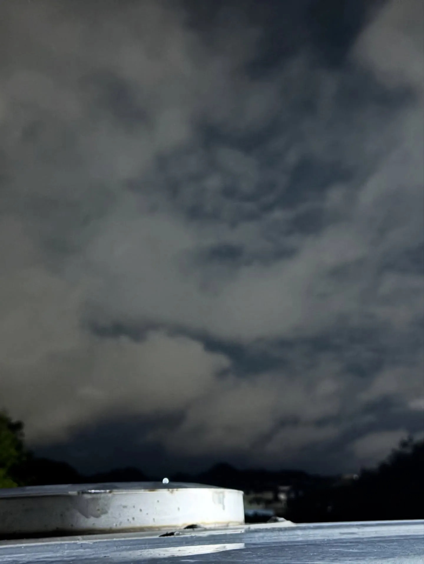 神奈川県横浜市にて、14年間、家族の一員としてともに過ごされ...