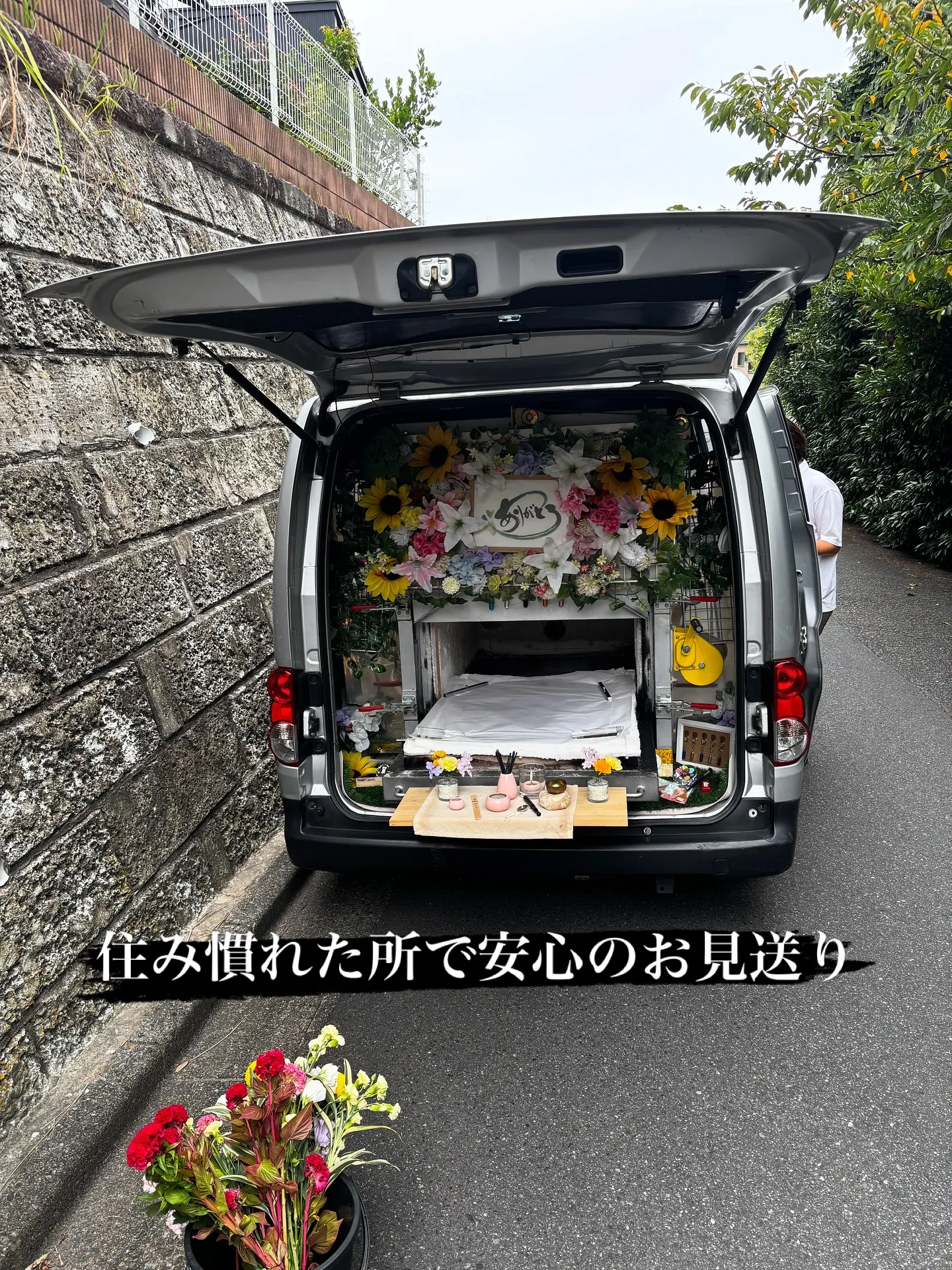 神奈川県鎌倉市にて、猫好き一家の一員だった愛くるしい猫ちゃん...