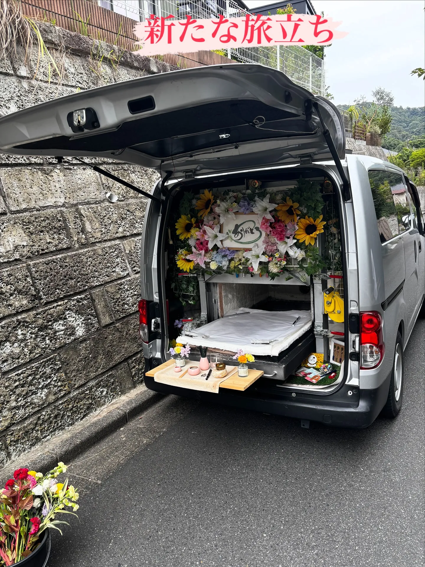 神奈川県鎌倉市にて、猫好き一家の一員だった愛くるしい猫ちゃん...