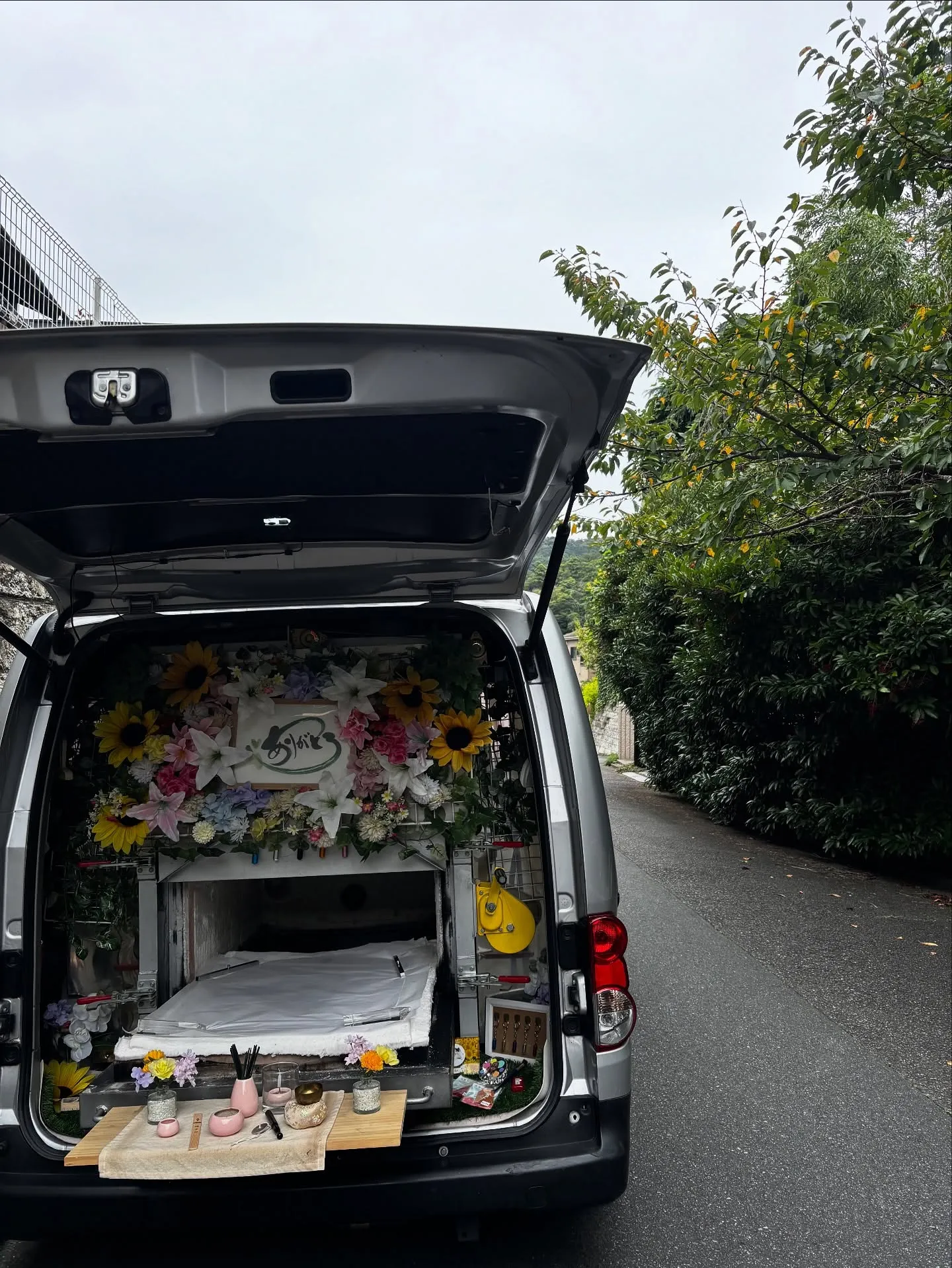 神奈川県鎌倉市にて、猫好き一家の一員だった愛くるしい猫ちゃん...