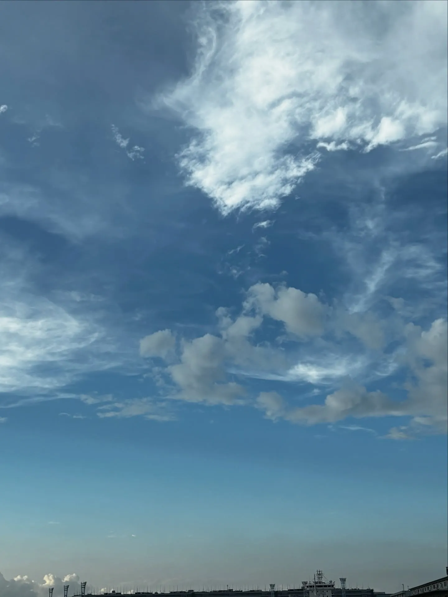 神奈川県横須賀市にて、大切なインコちゃんのペット火葬をお手伝...