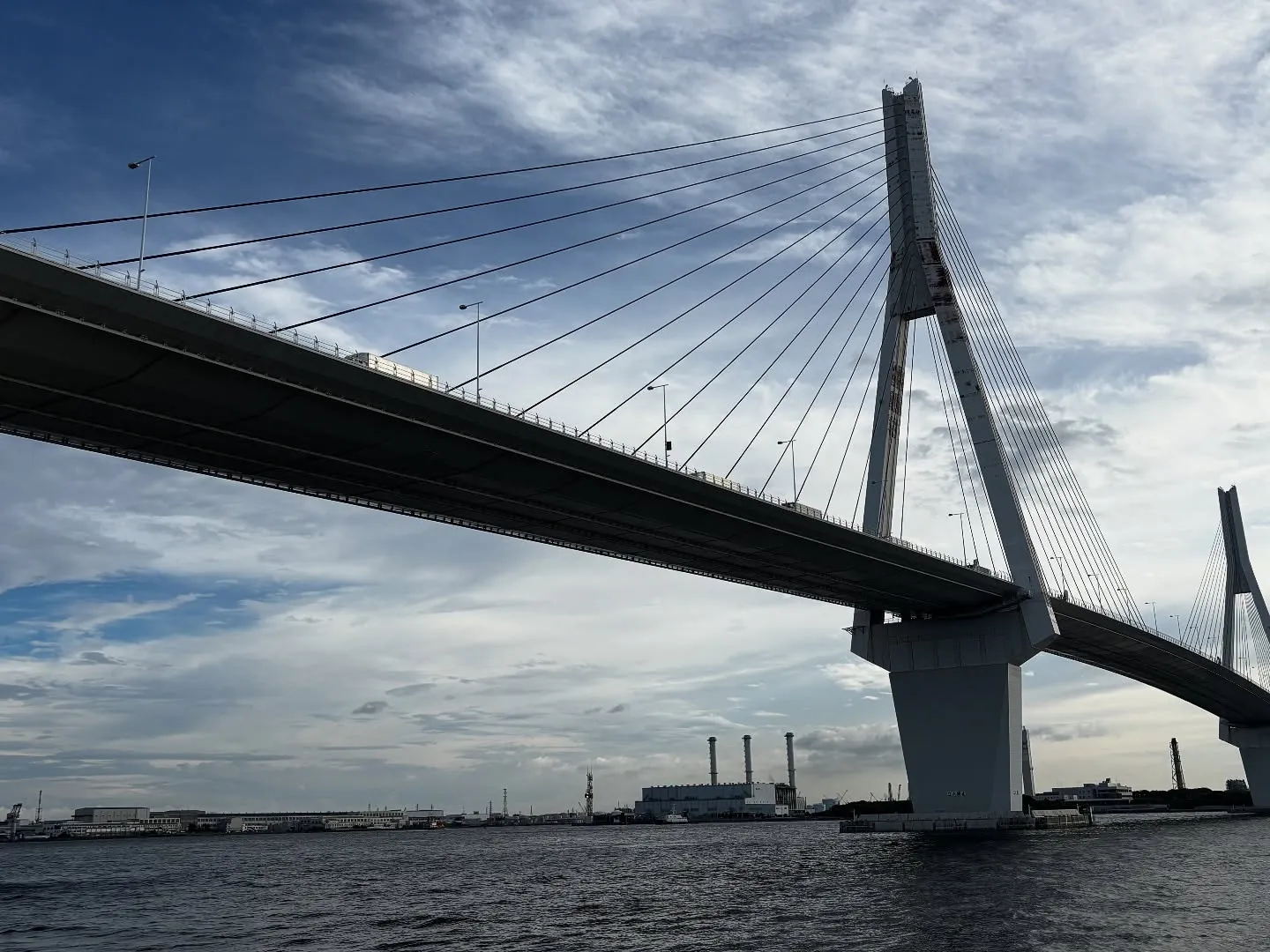 神奈川県横須賀市に拠点を置く「訪問ペット火葬ペットメモリアル...