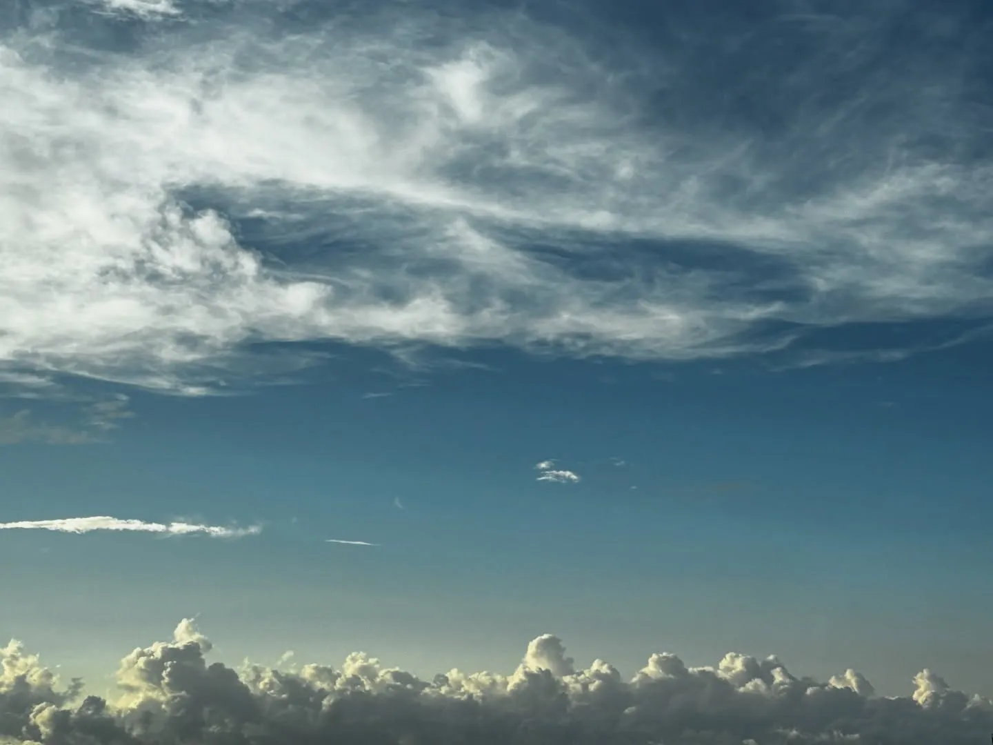神奈川県横須賀市に拠点を置く「訪問ペット火葬ペットメモリアル...