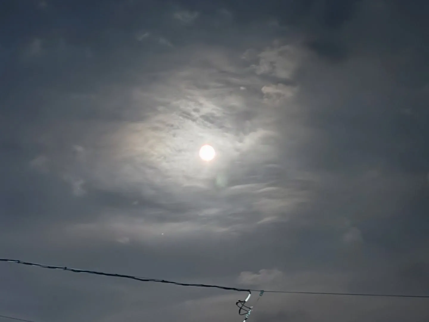 神奈川県横須賀市に拠点を置く「訪問ペット火葬ペットメモリアル...