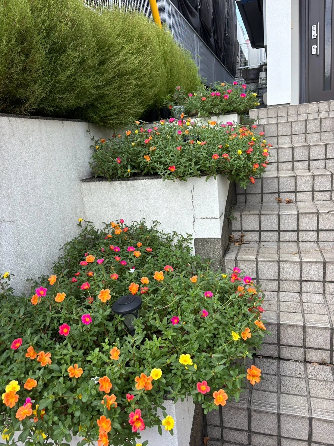 訪問ペット火葬ペットメモリアル神奈川は、横須賀市を拠点に、ペ...