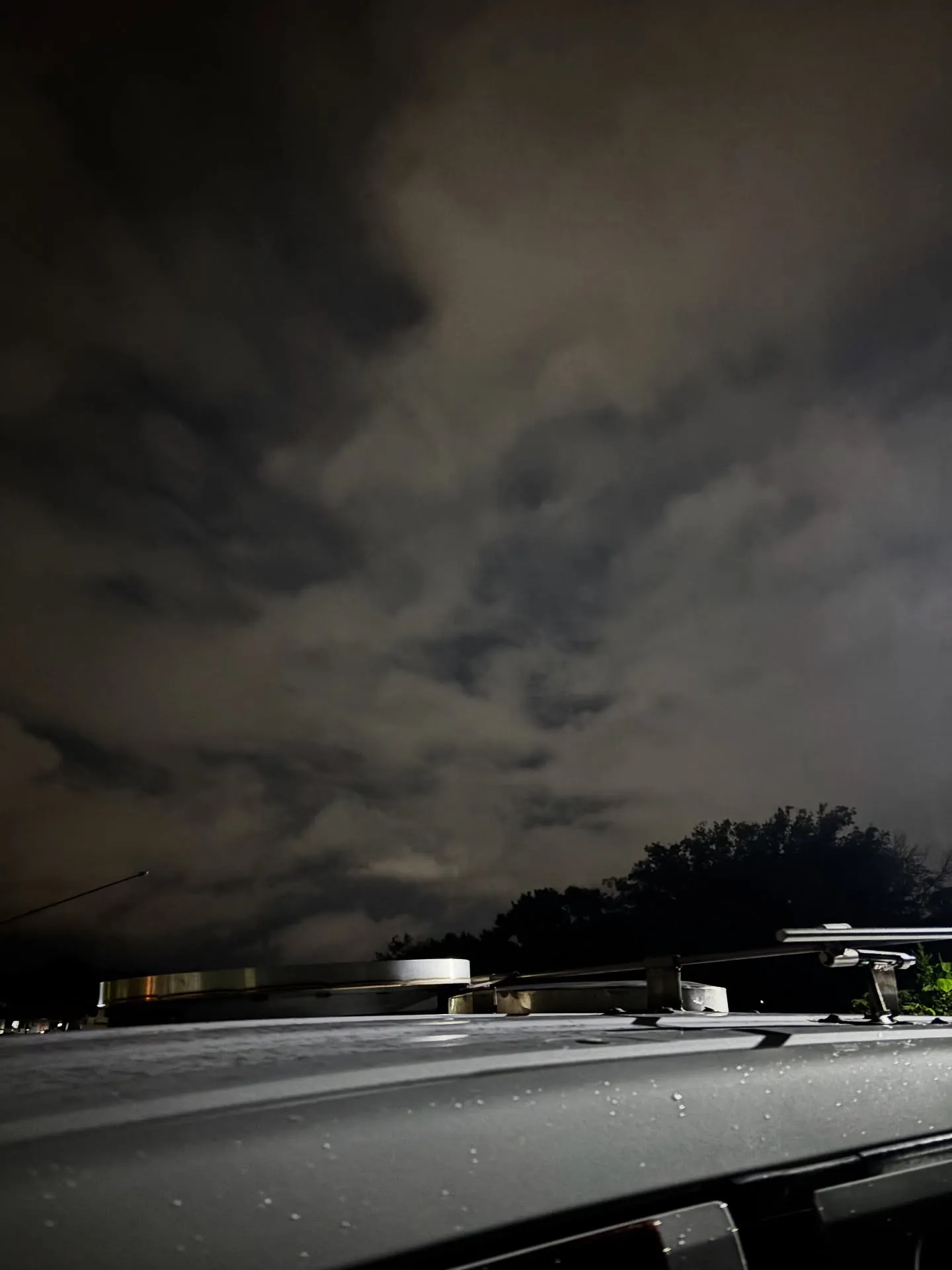 訪問ペット火葬ペットメモリアル神奈川は、横須賀市を拠点に、ペ...
