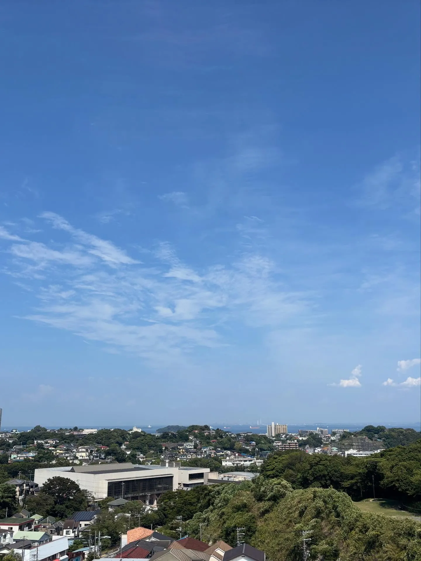 神奈川県横浜市より、大切なご家族の一員であるわんちゃんのお見...