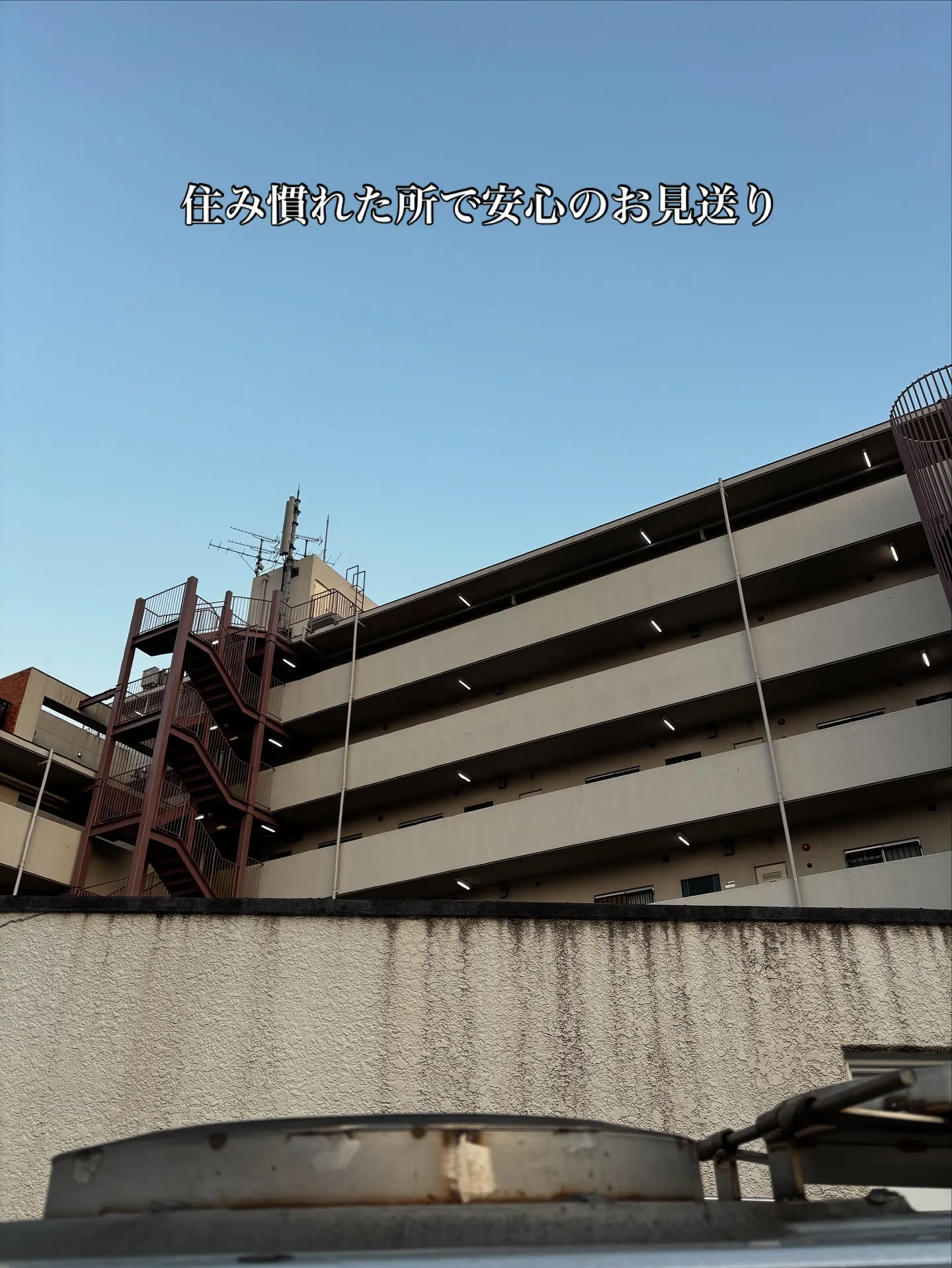 横浜市磯子区にて、愛するチワワちゃんのペット訪問火葬のお手伝...