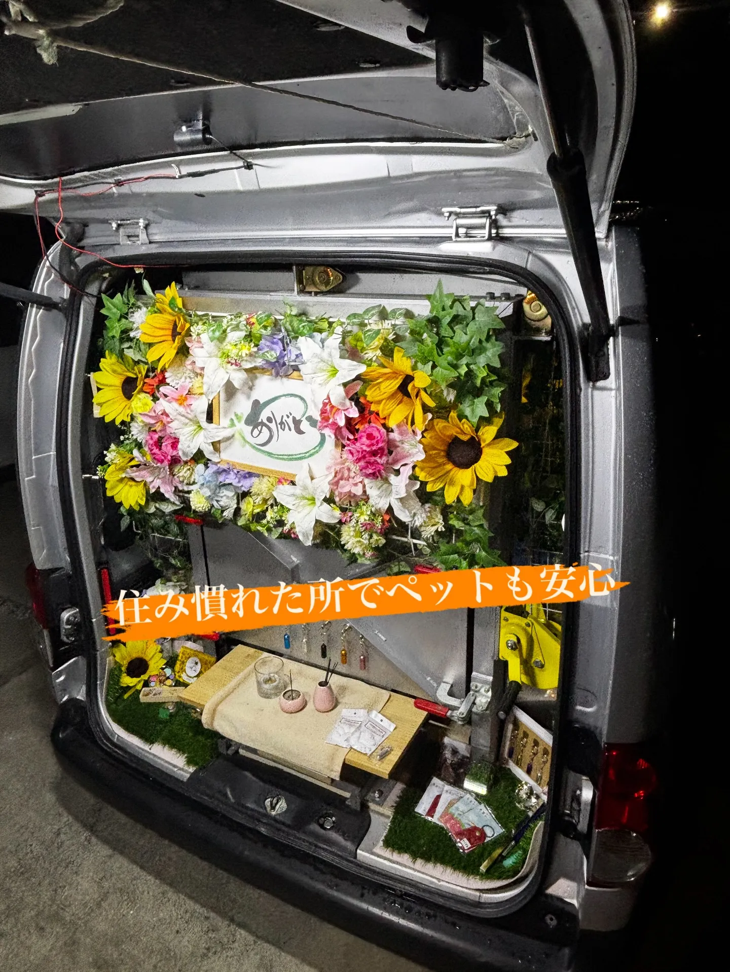 神奈川県横須賀市にて、愛する家族の一員であるミックス犬のお見...