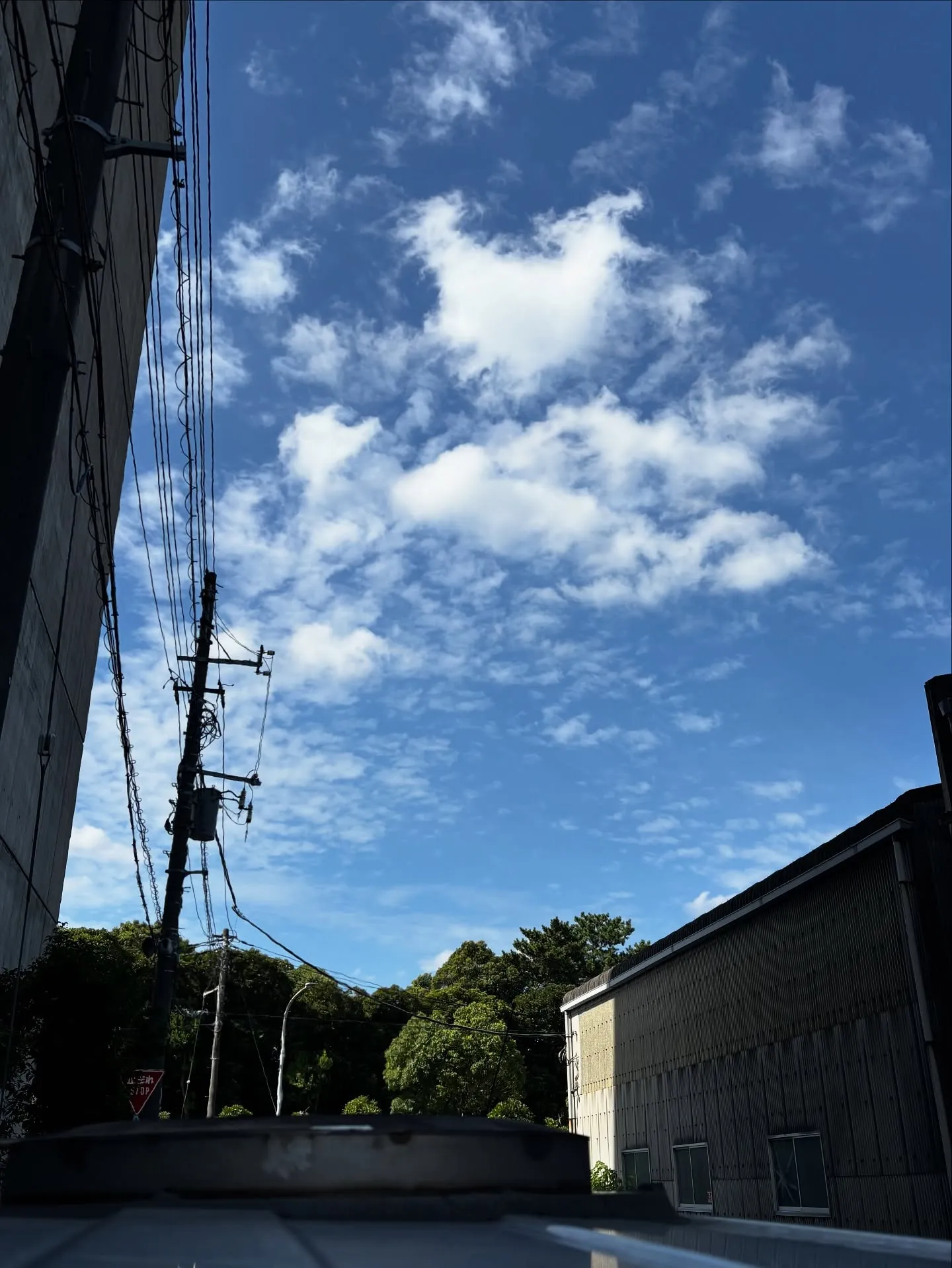 ペットを愛する皆様へ。