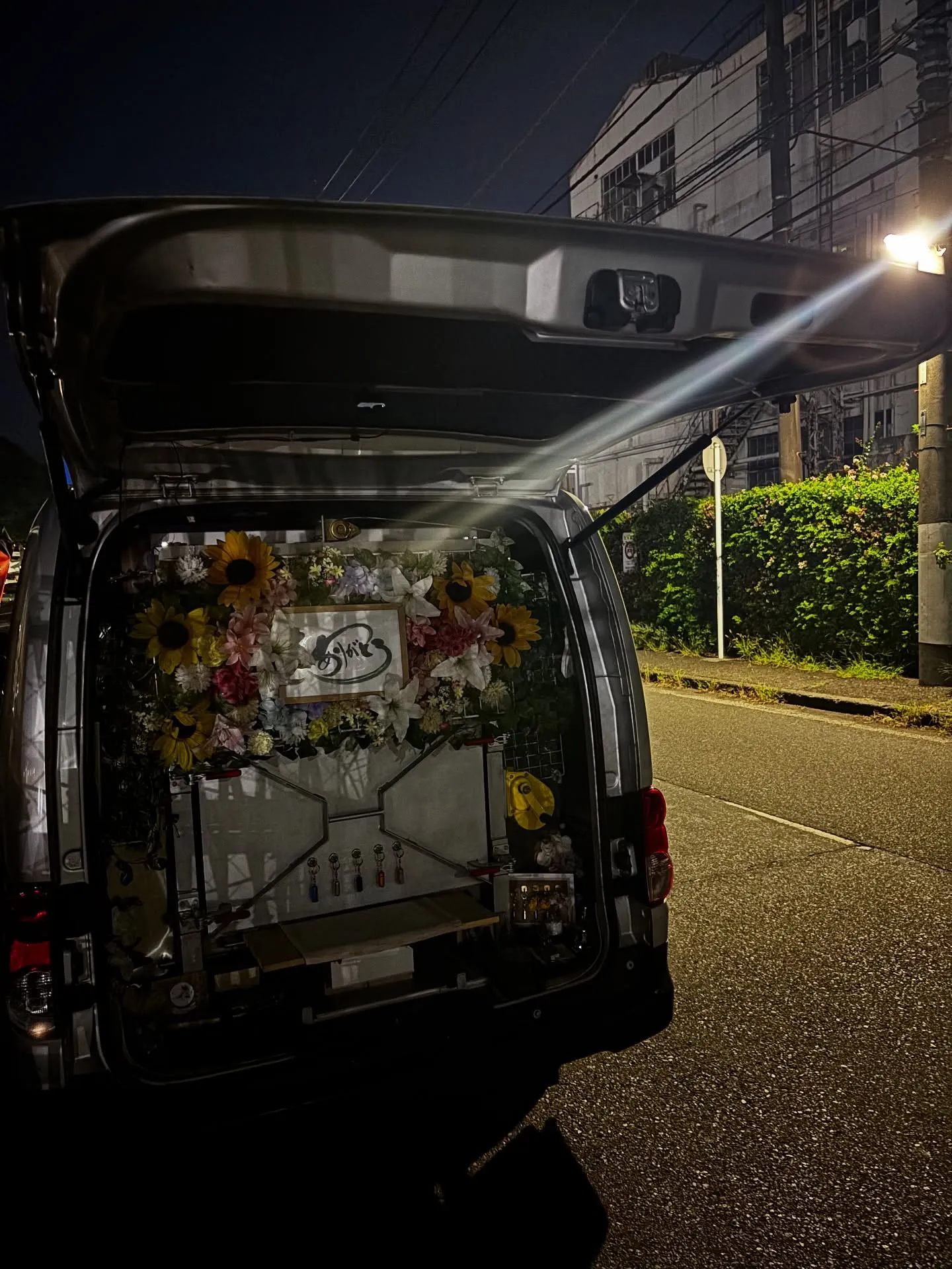 神奈川県横須賀市で家族の一員となっている猫ちゃんのペット火葬...